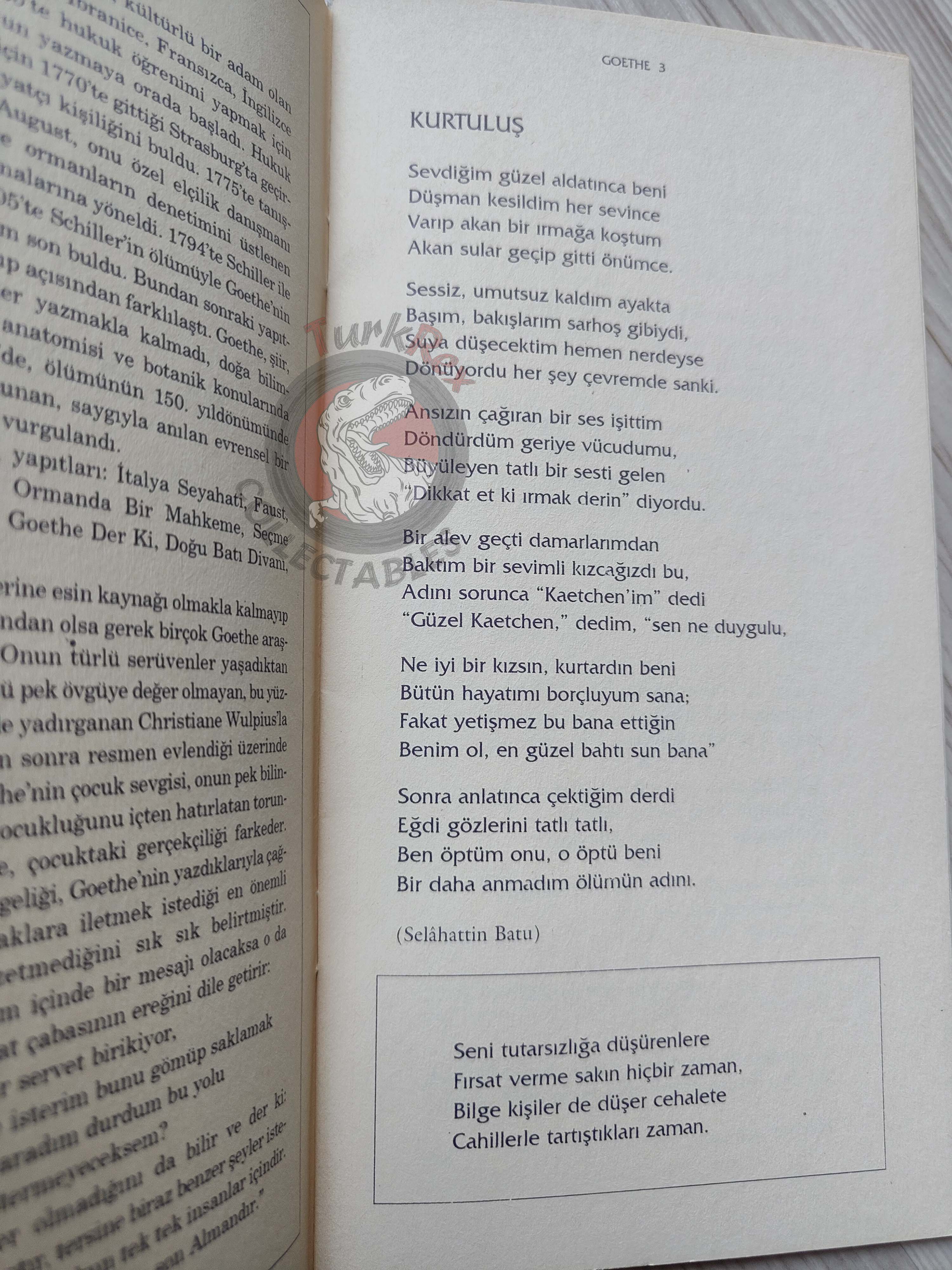 Johann Wolfgang von Goethe – Selected Poems Turkish Book Turkey