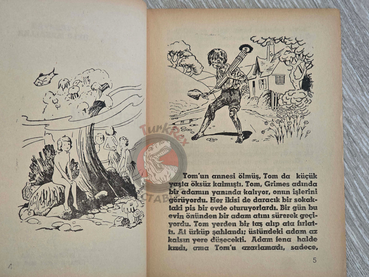 Charles Kingsley – The Water Babies 1977 Turkish Book Turkey Illustrated
