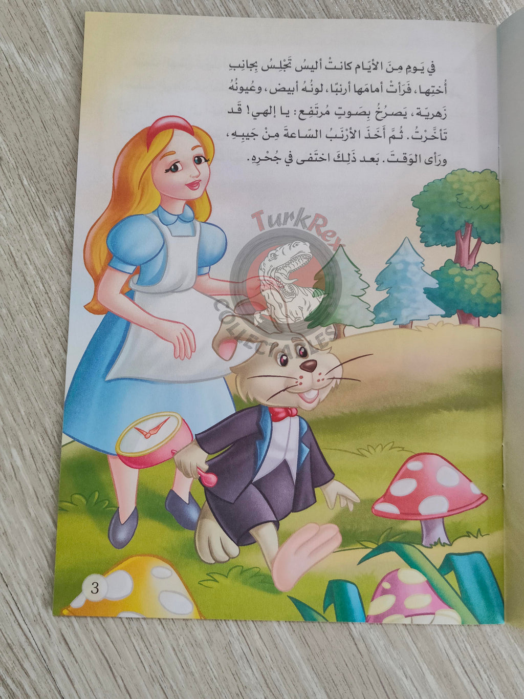 Lewis Carroll – Alice in Wonderland 2000s Arabic Book Turkey Illustrated