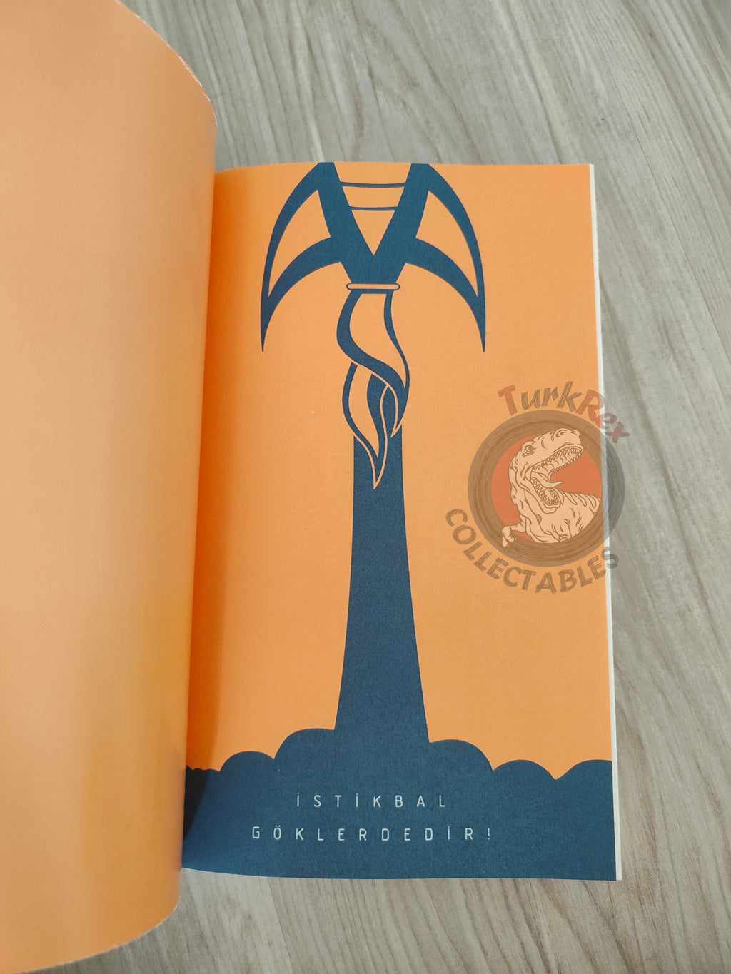 Walter Tevis – Mockingbird 2021 Turkish Book Turkey