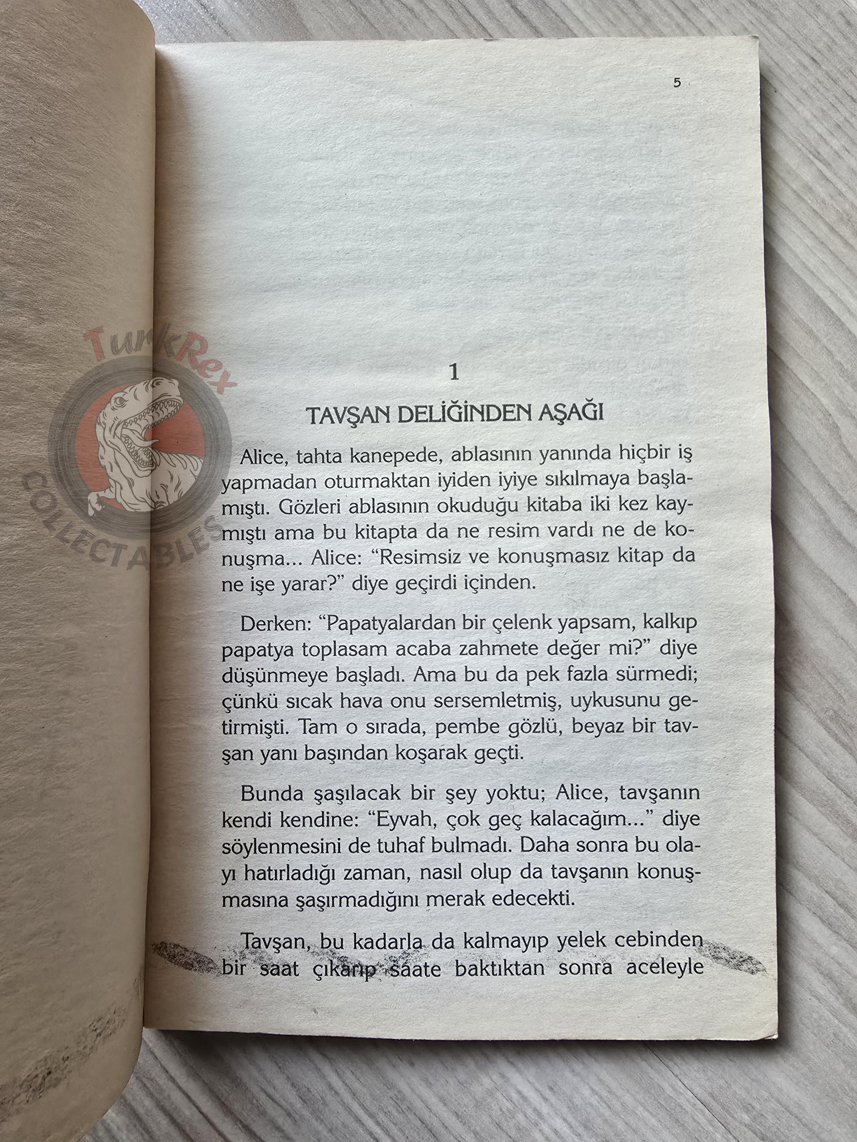 Lewis Carroll – Alice in Wonderland 2007 Turkish Book Turkey