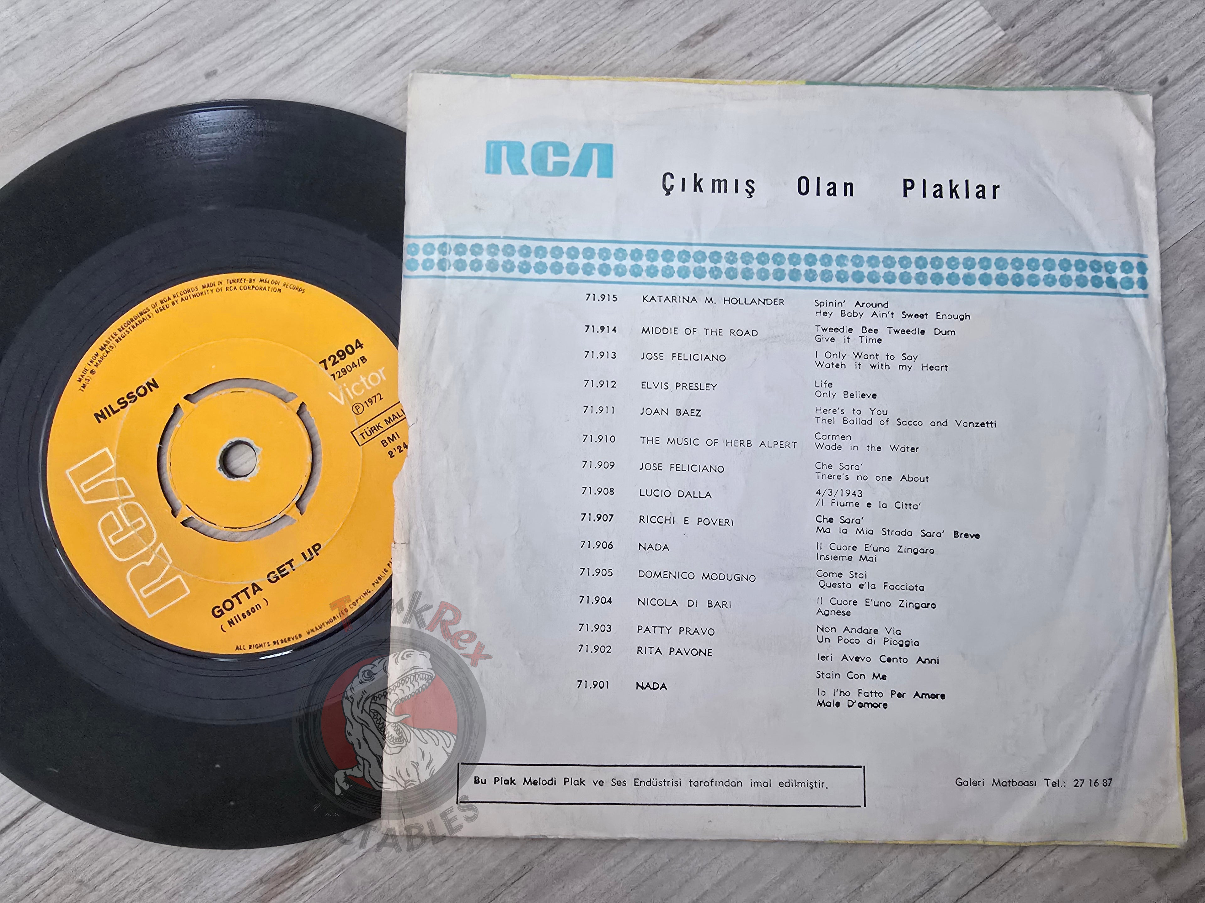 Nilsson – Without You 7" Turkish Pressing Vinyl Turkey Edition