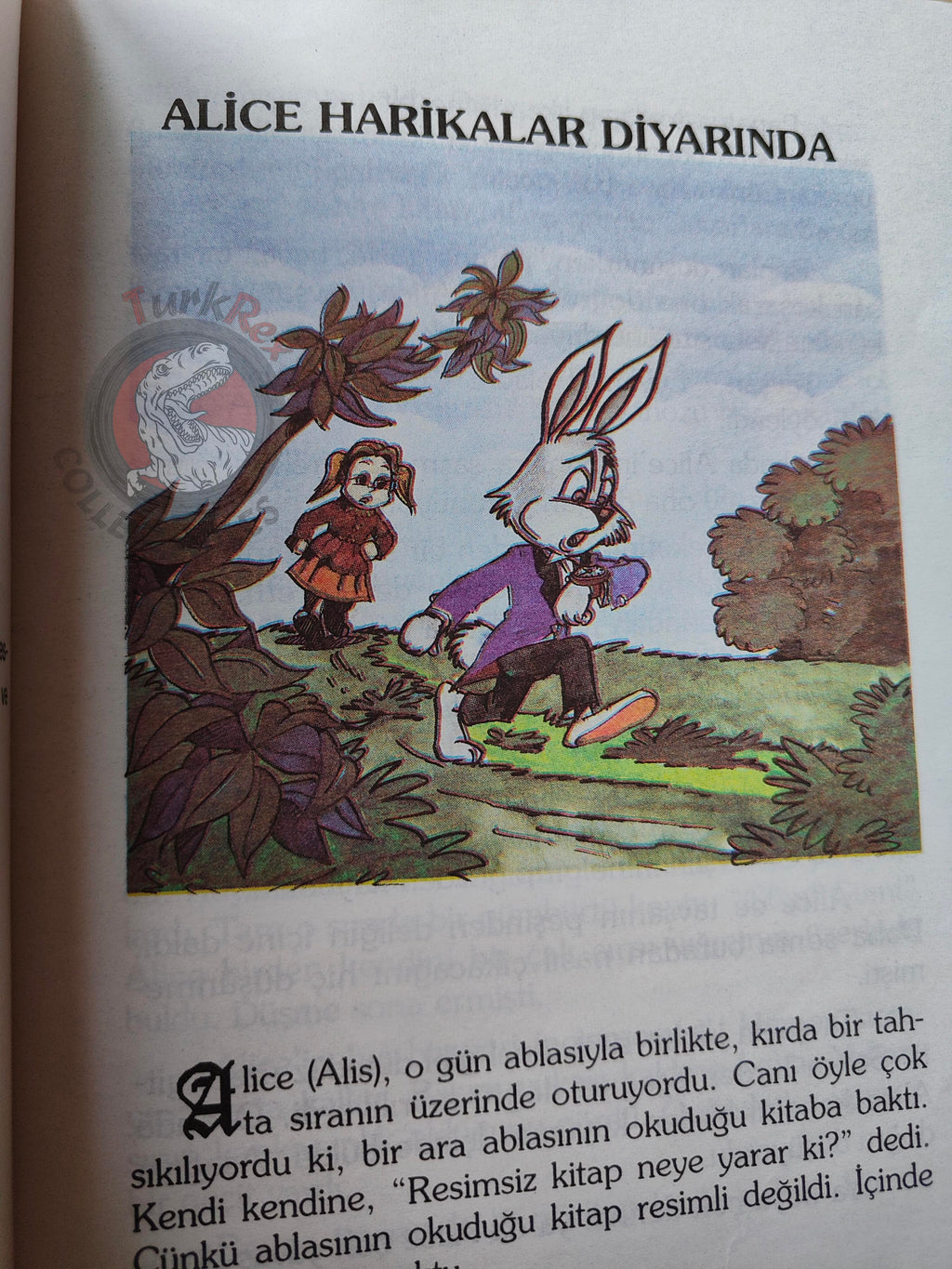 Lewis Carroll – Alice in Wonderland 1996 Turkish Book Turkey Illustrated
