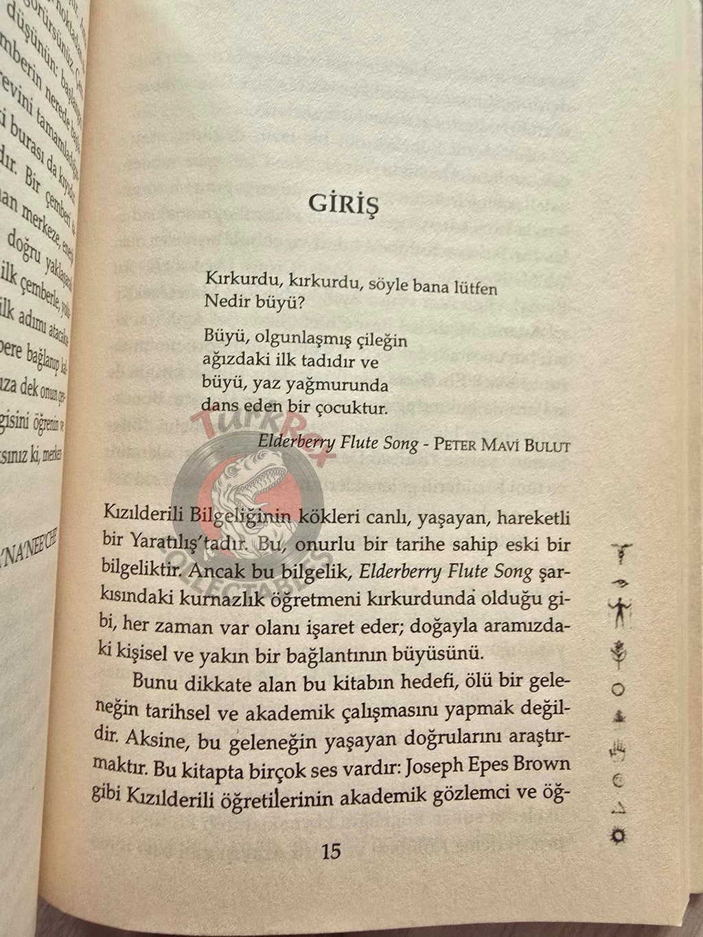 Wa'Na'Nee'Che & Timothy Freke – Principles Of Native American Spirituality Turkish Book Turkey