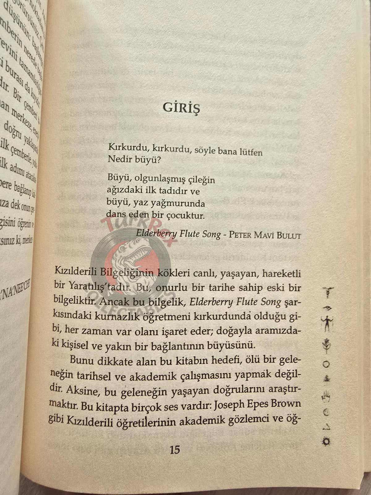Wa'Na'Nee'Che & Timothy Freke – Principles Of Native American Spirituality Turkish Book Turkey