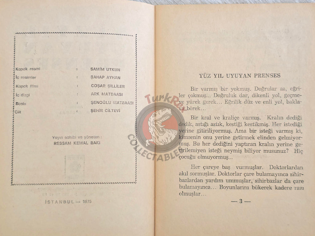 Grimm Brothers –  Sleeping Beauty 1975 Turkish Book Turkey Illustrated