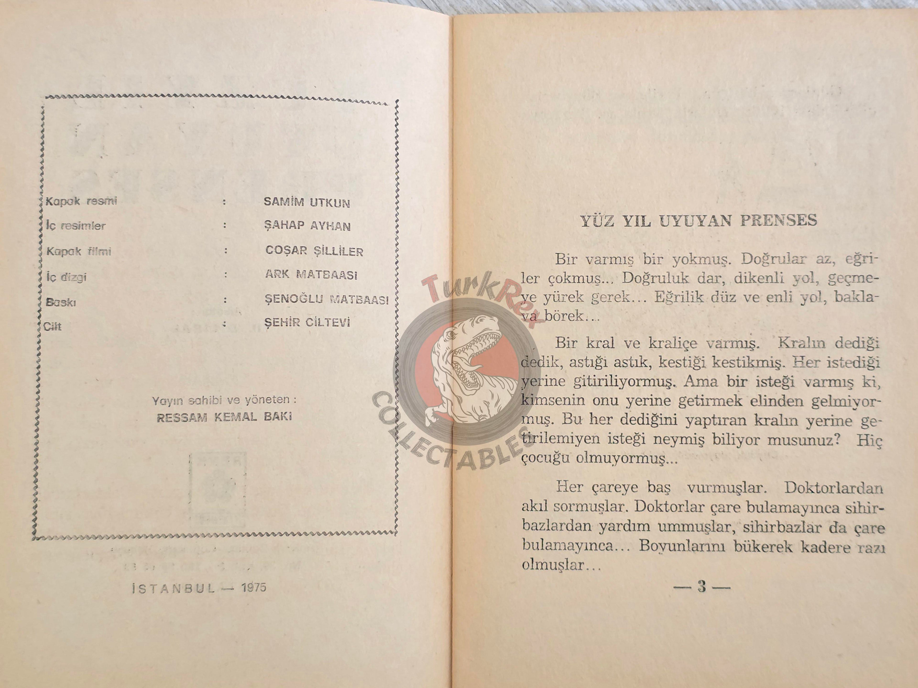 Grimm Brothers –  Sleeping Beauty 1975 Turkish Book Turkey Illustrated