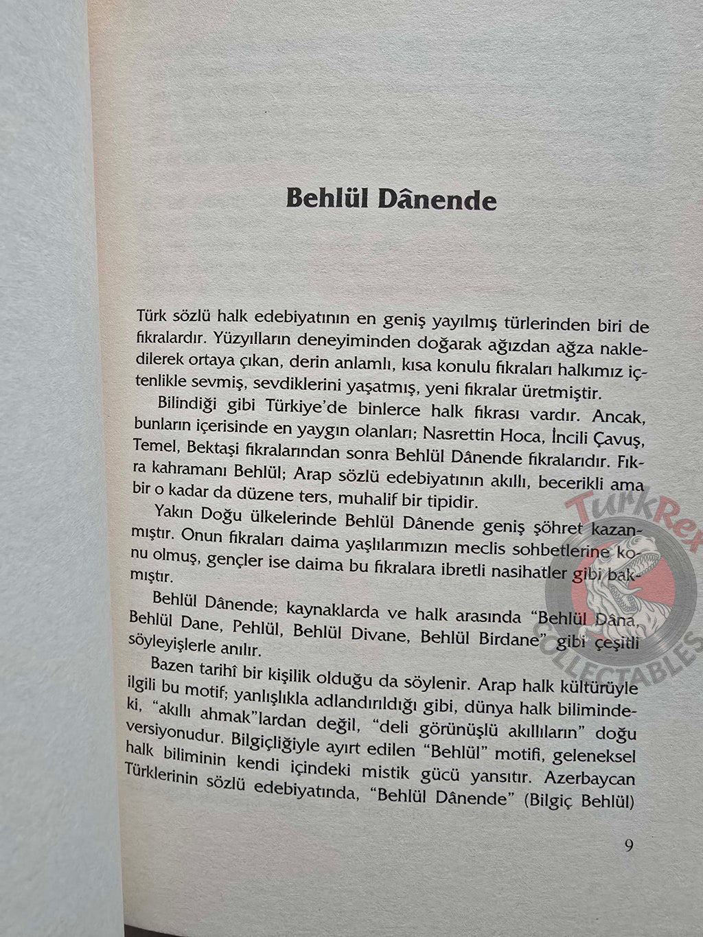 Hayrettin İvgin – Behlül Danende 2005 Turkish Book Turkey Sufi dervish
