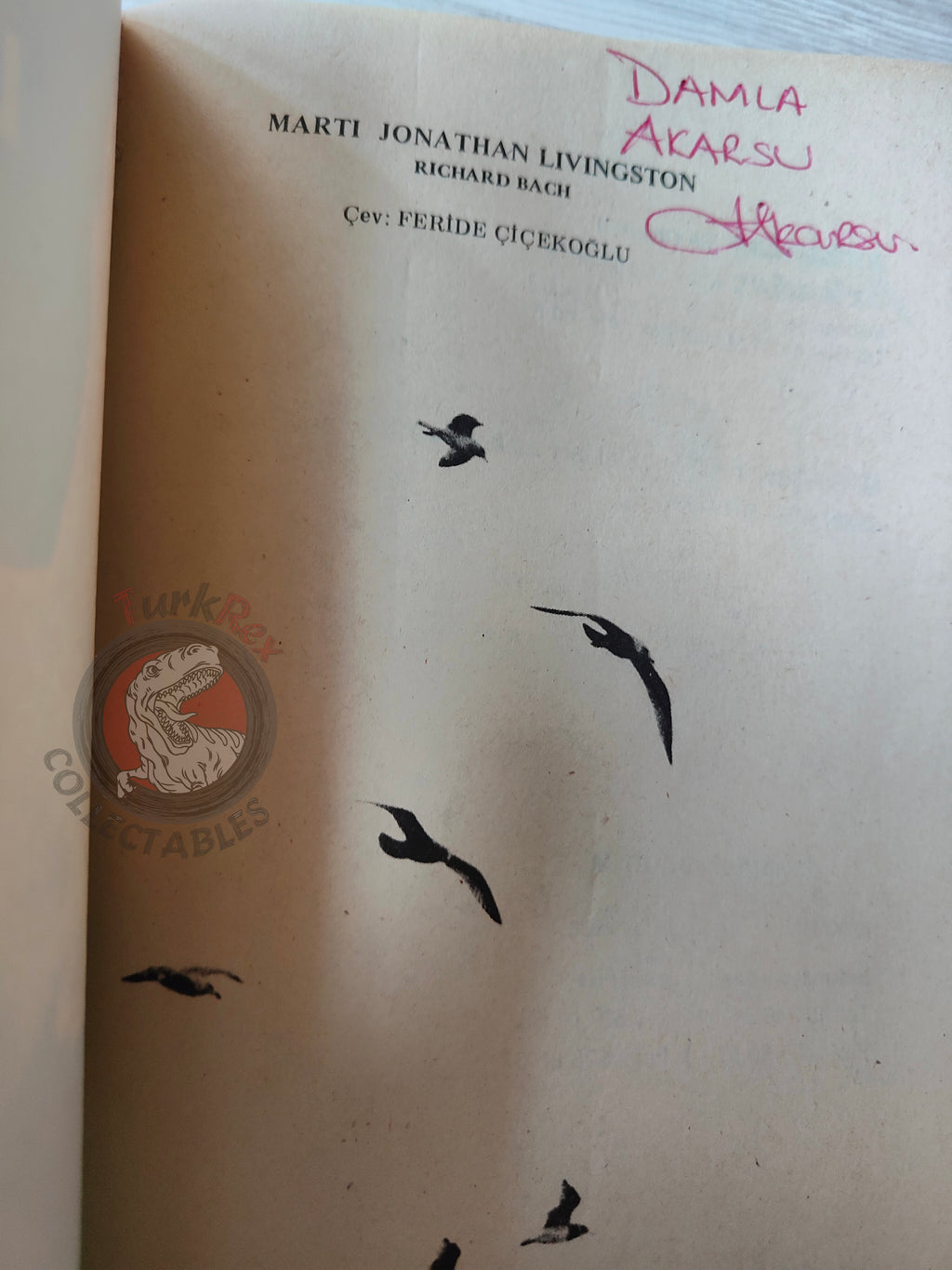 Richard Bach – Jonathan Livingston Seagull Turkish Book Turkey