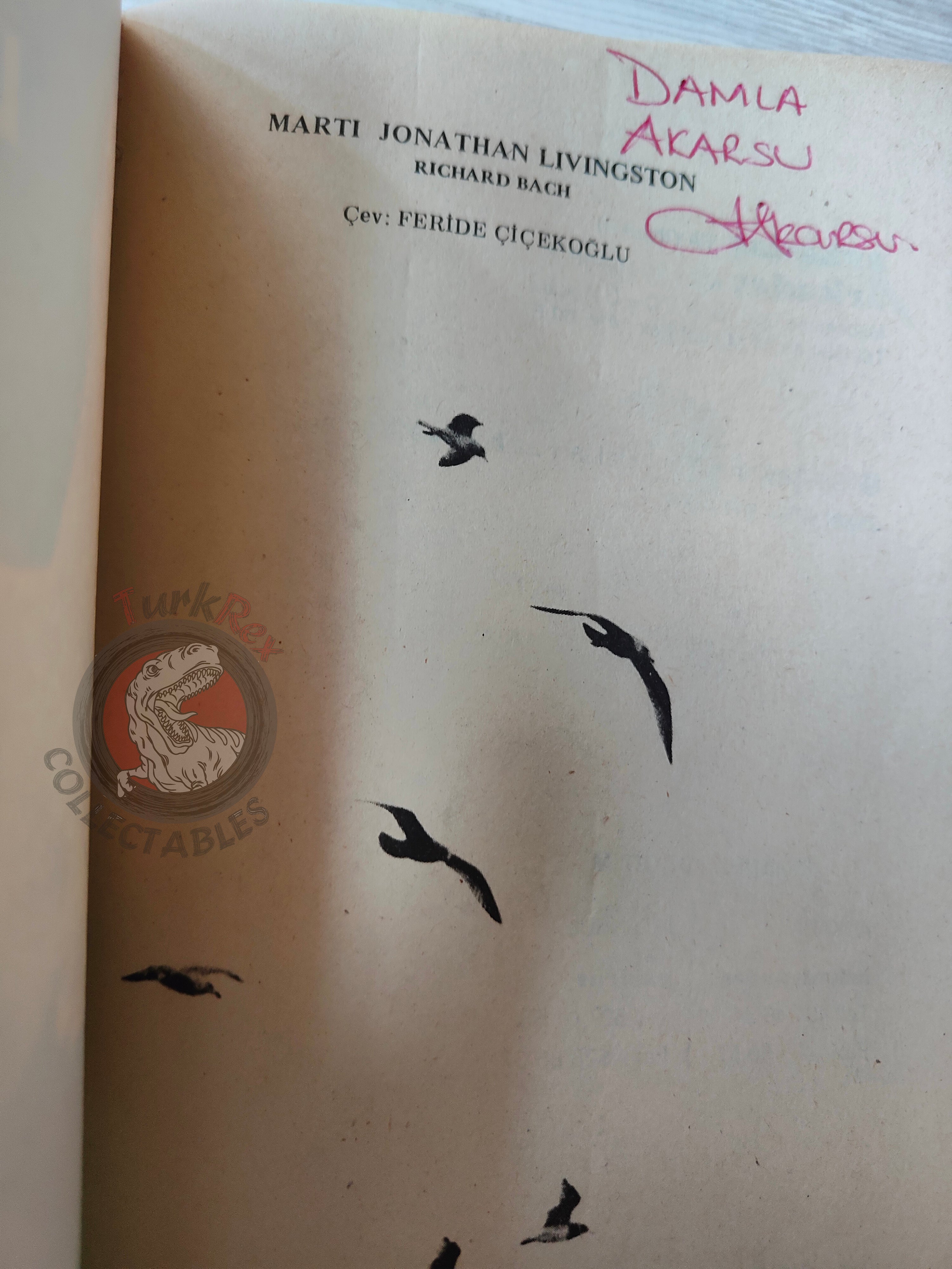 Richard Bach – Jonathan Livingston Seagull Turkish Book Turkey