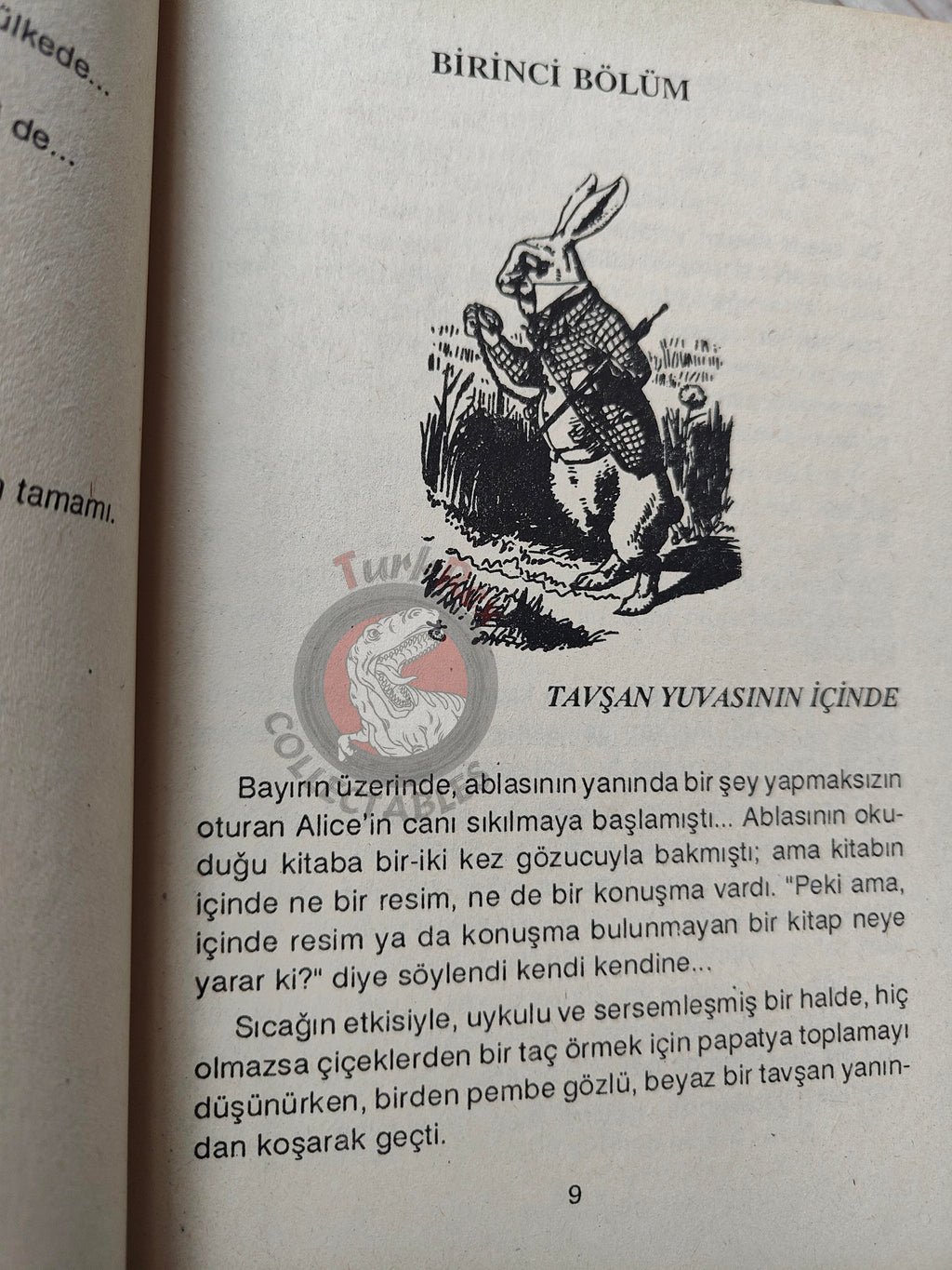Lewis Carroll – Alice in Wonderland 1992 Turkish Book Turkey Illustrated John Tenniel