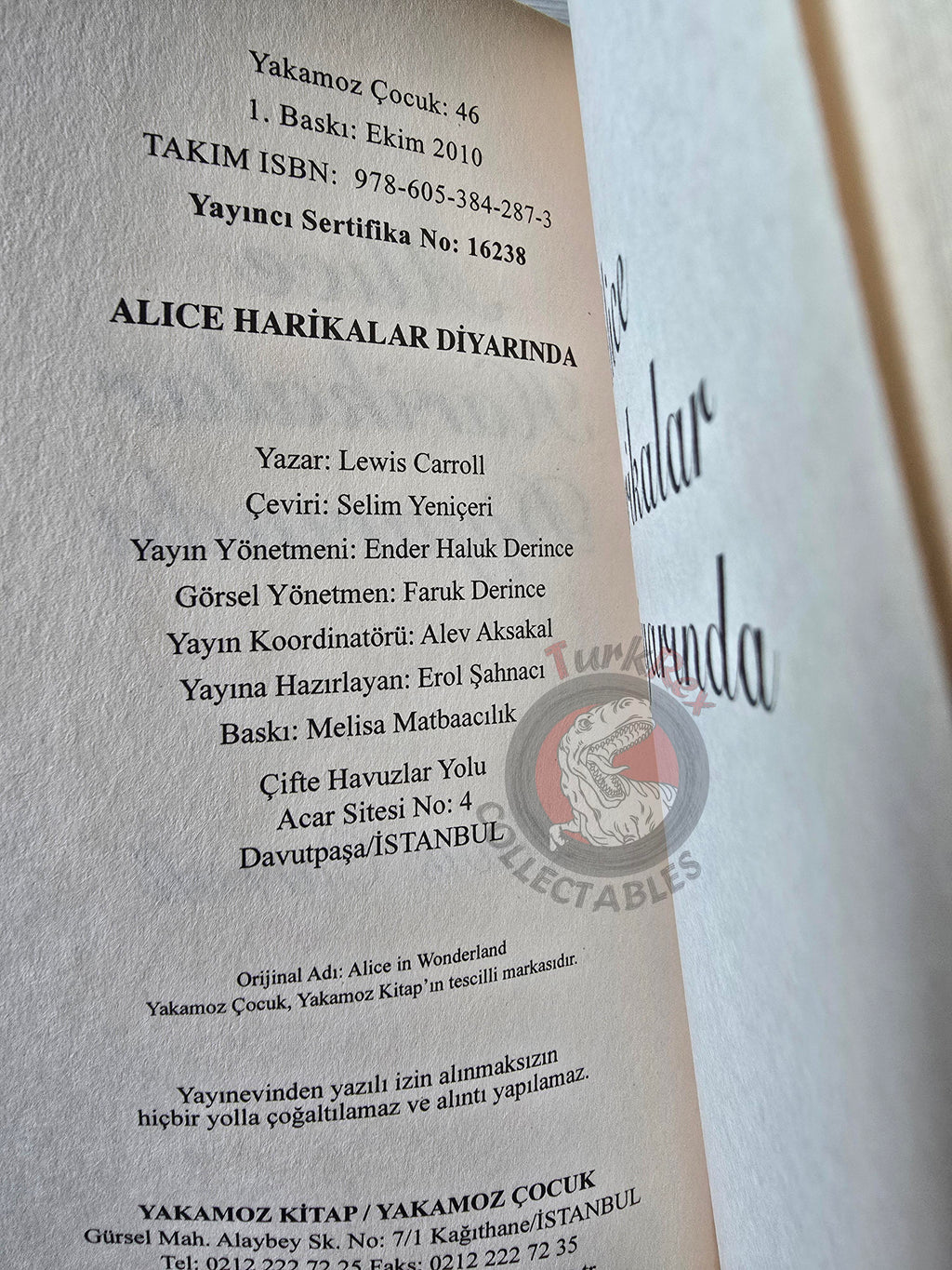 Lewis Carroll – Alice in Wonderland 2010 Turkish Book Turkey