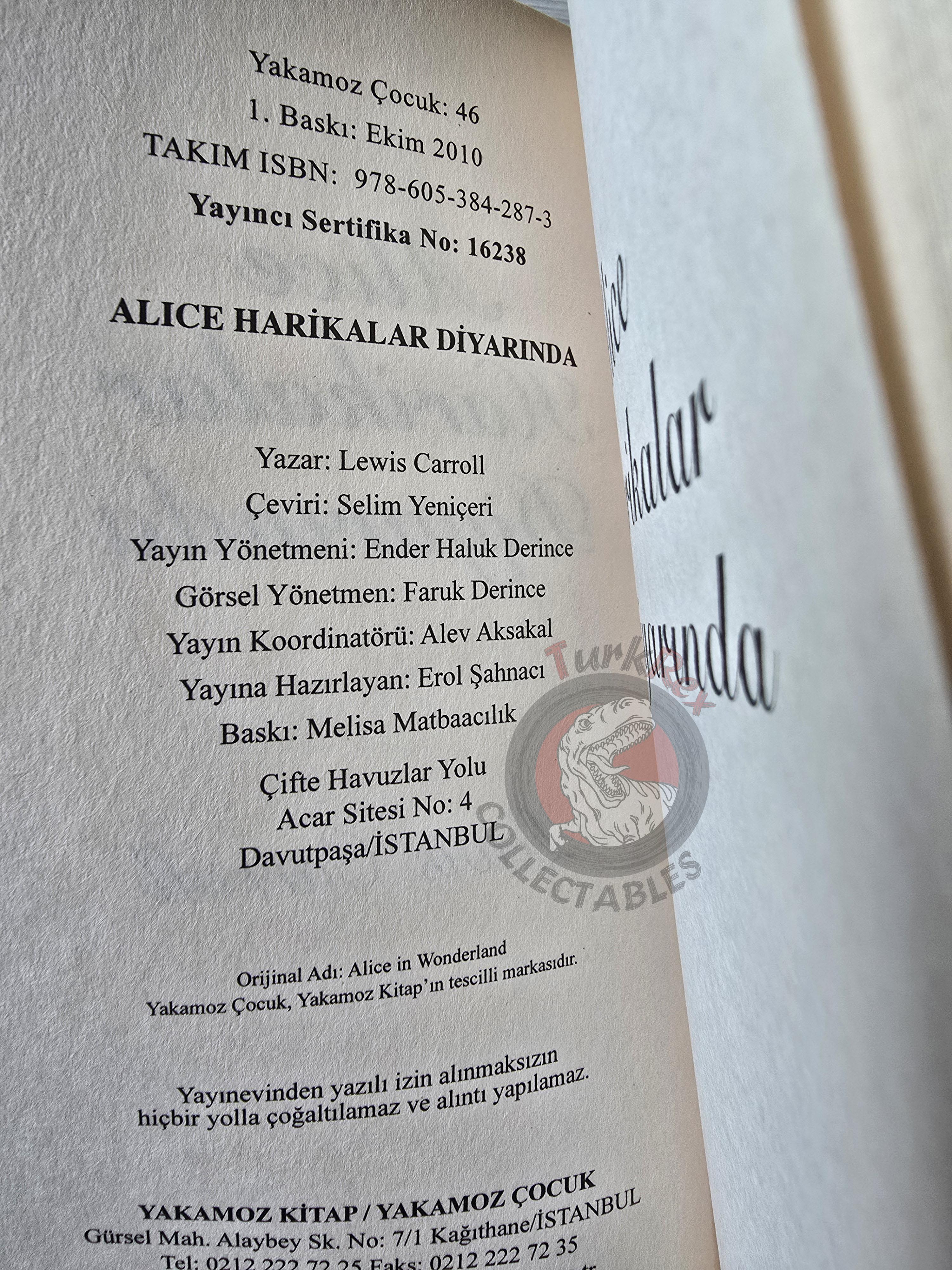 Lewis Carroll – Alice in Wonderland 2010 Turkish Book Turkey