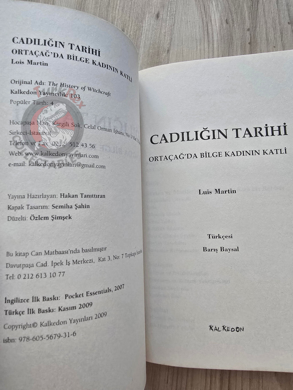 Lois Martin – The History Of Witchcraft 2009 Turkish Book Turkey