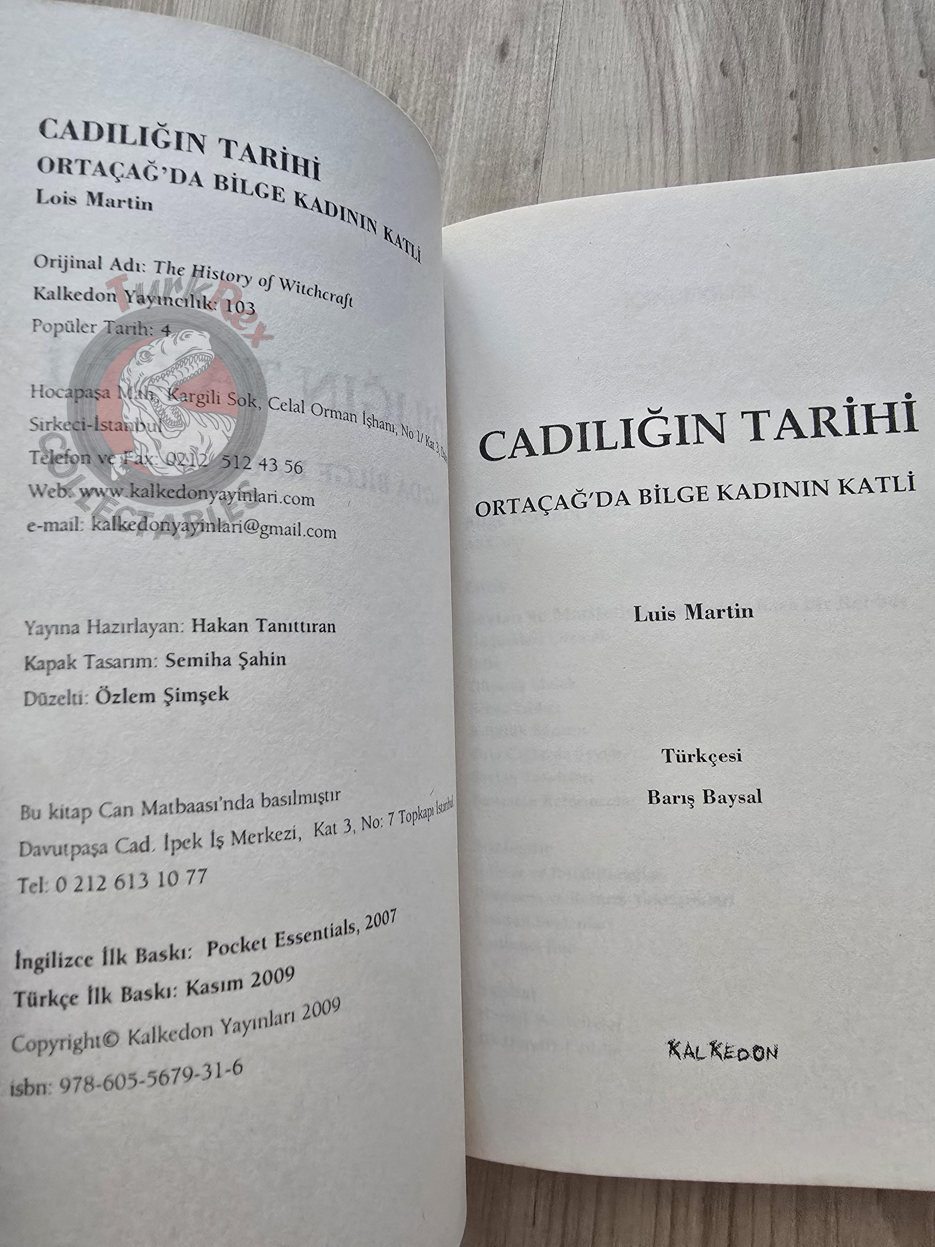 Lois Martin – The History Of Witchcraft 2009 Turkish Book Turkey