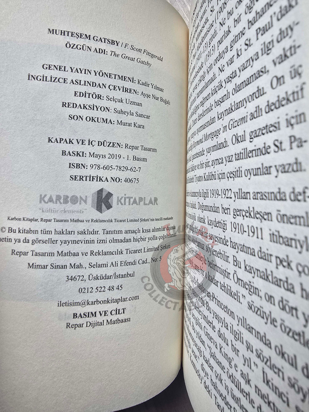 F. Scott Fitzgerald  – The Great Gatsby 2019 Turkish Book Turkey