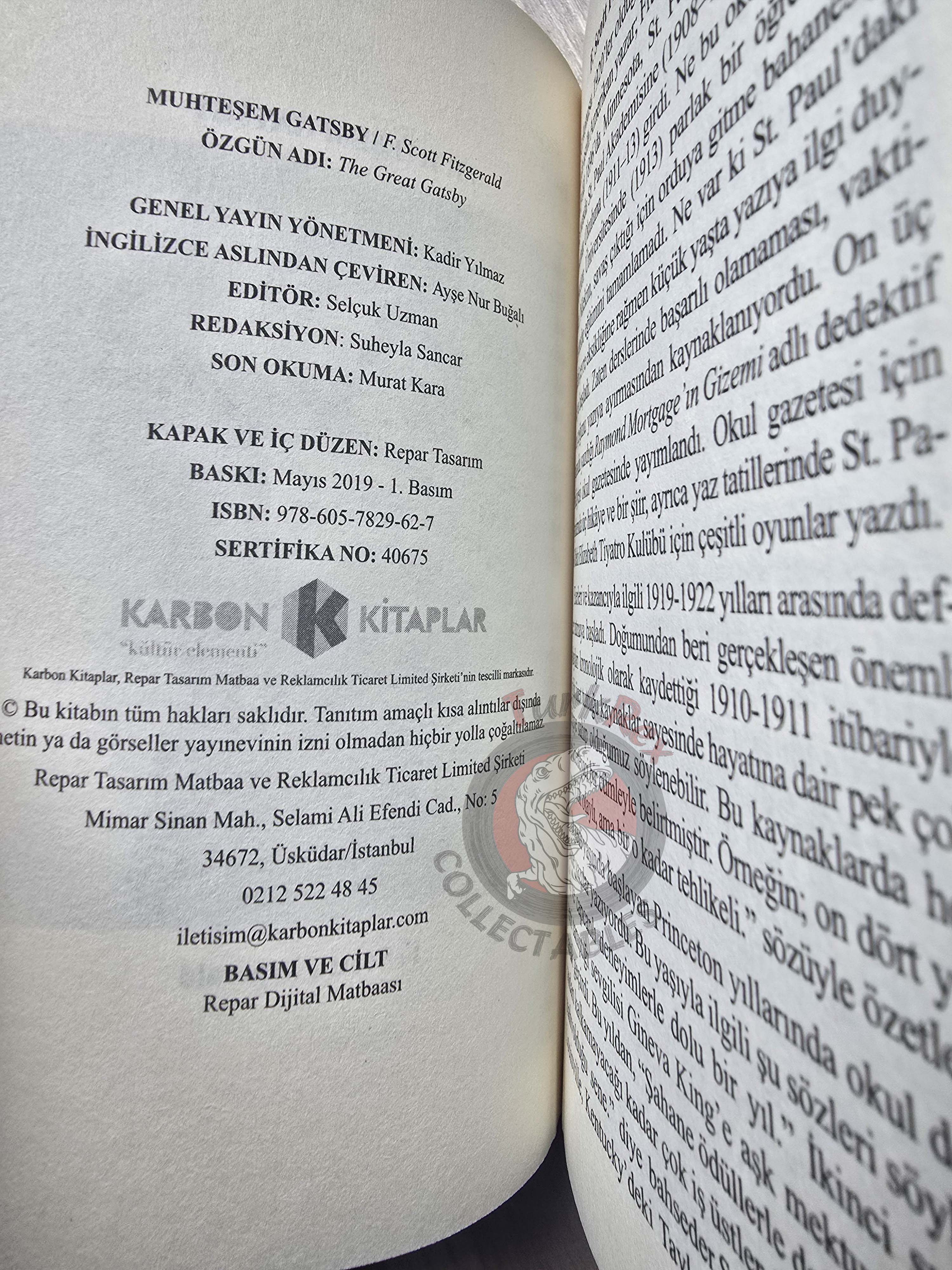 F. Scott Fitzgerald  – The Great Gatsby 2019 Turkish Book Turkey