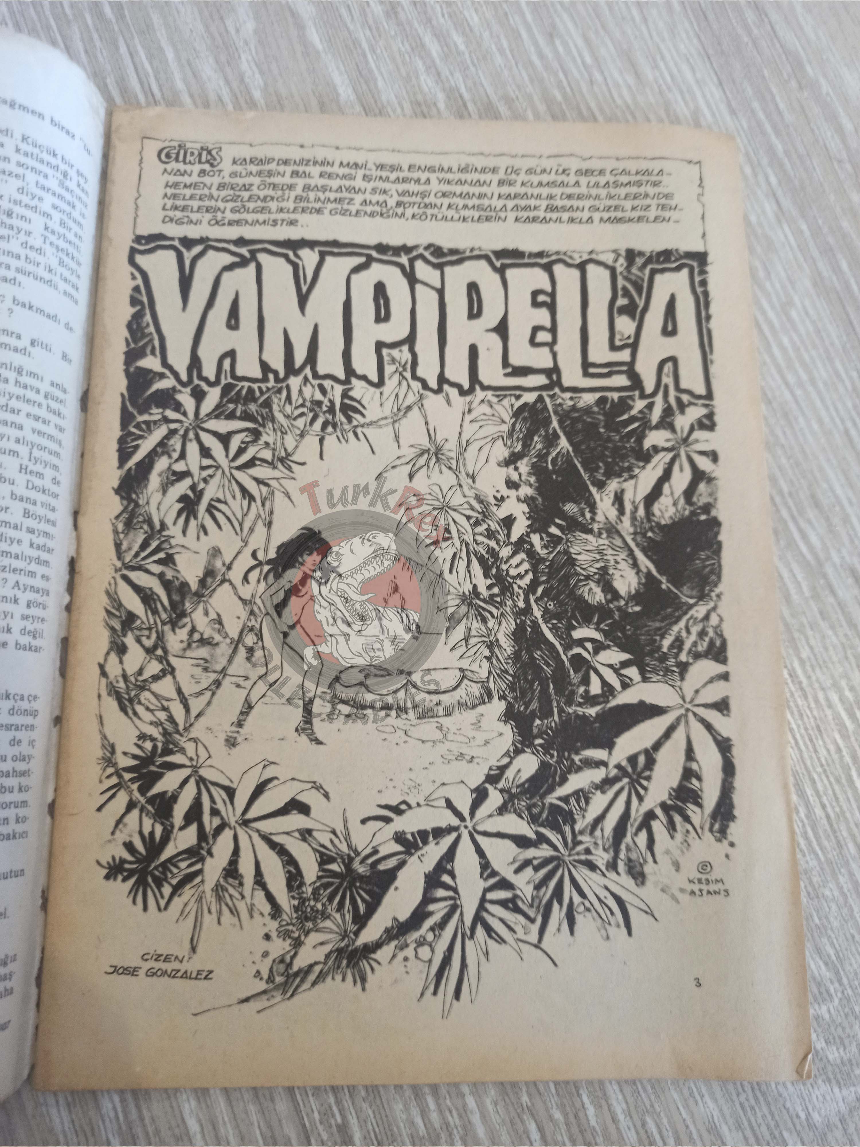 Vampirella #4 1976 Turkish Comic Turkey Warren Publishing cover #37 #14 #47