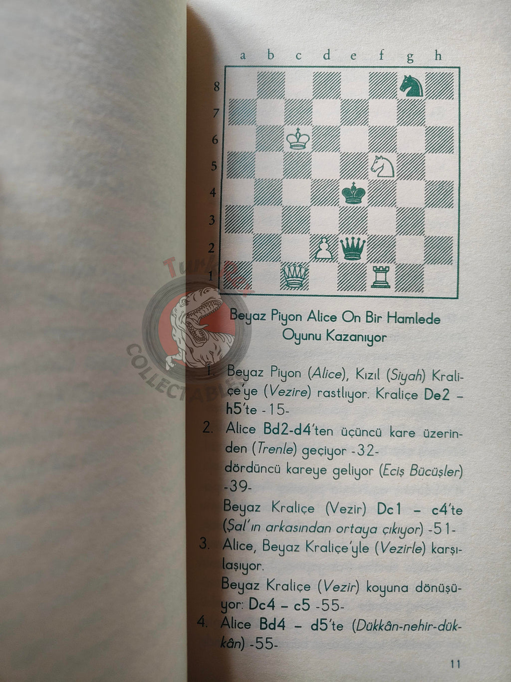 Lewis Carroll – Through the Looking-Glass 2006 Turkish Book Turkey Illustrated