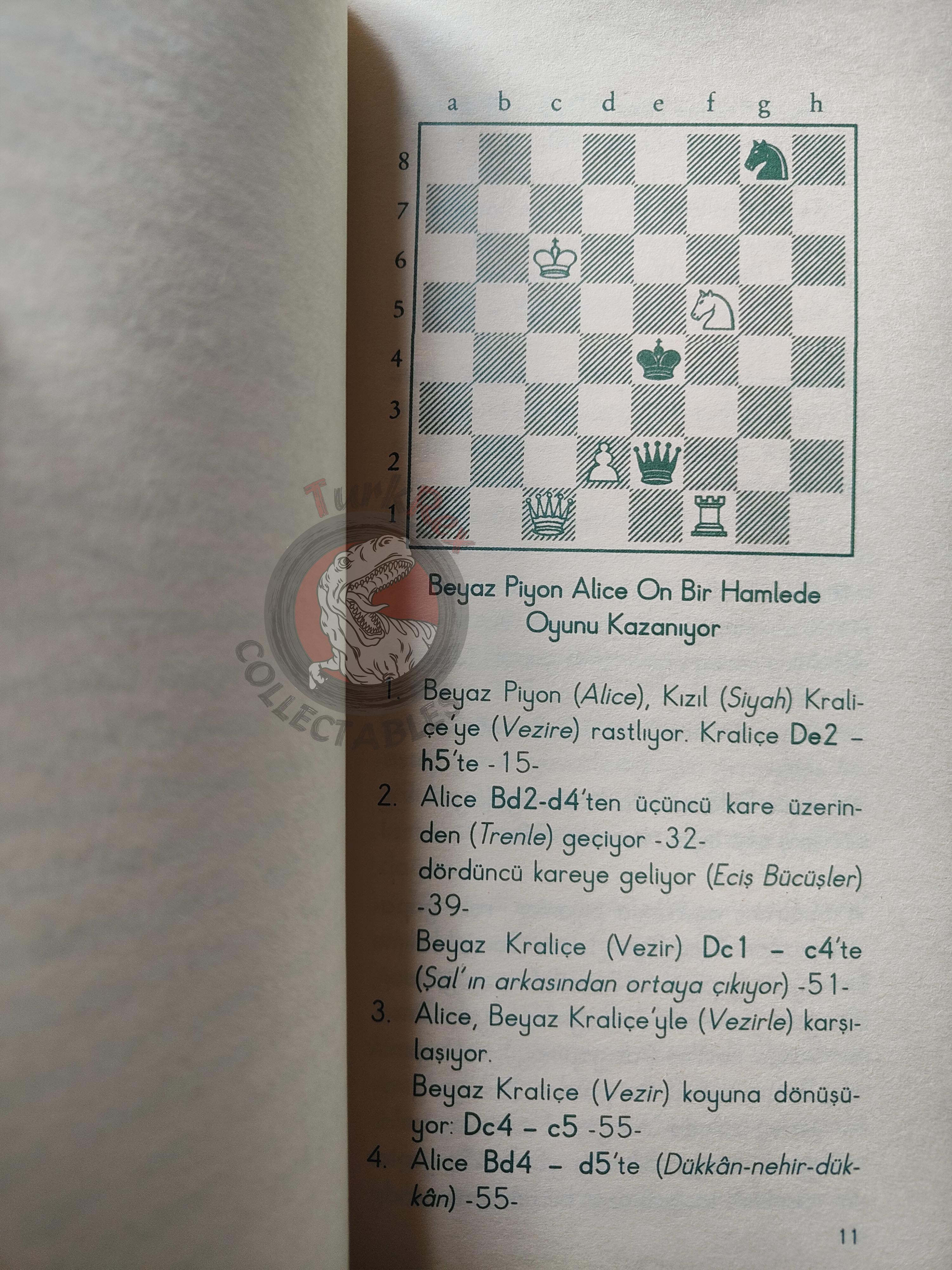 Lewis Carroll – Through the Looking-Glass 2006 Turkish Book Turkey Illustrated