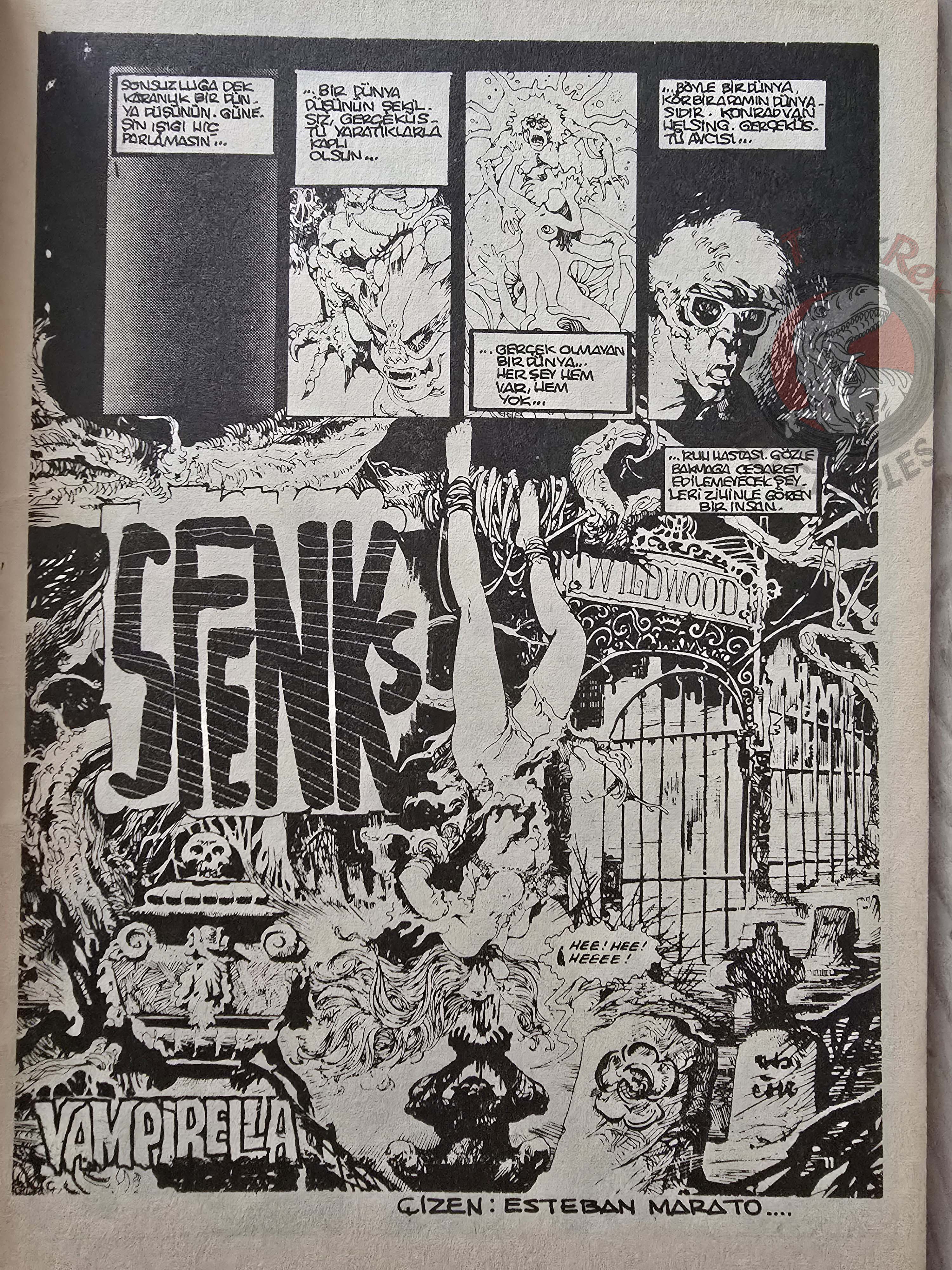 Vampirella #14 1977 Turkish Comic Turkey Warren Publishing cover #47 #50 Morbius Eerie