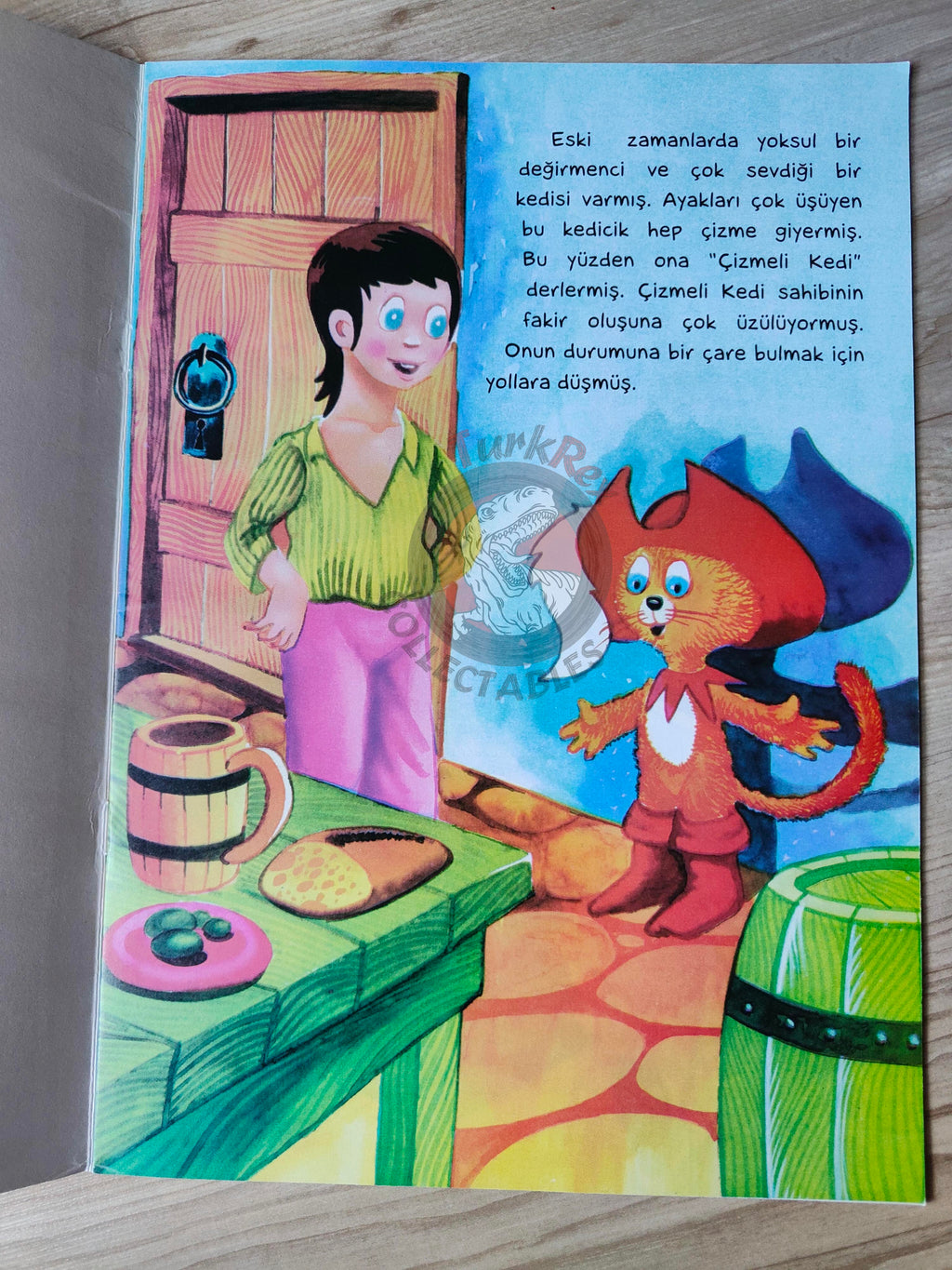 Puss in Boots – Grimm Brothers 2013 Turkish Book Turkey Illustrated