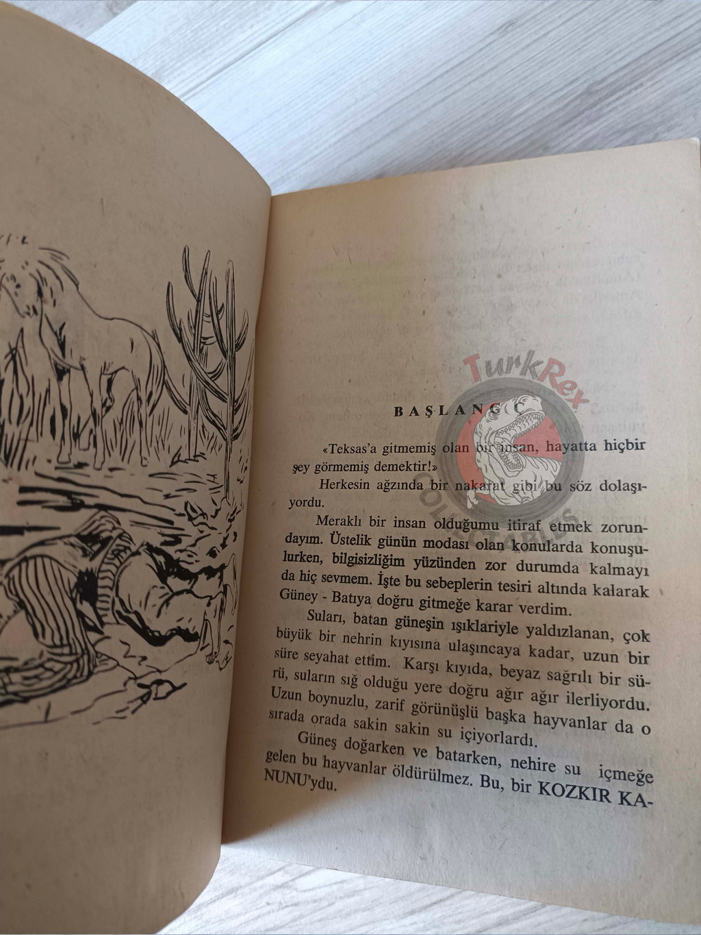 G. Martina – Pecos Bill 1967Turkish Book Turkey Illustrated