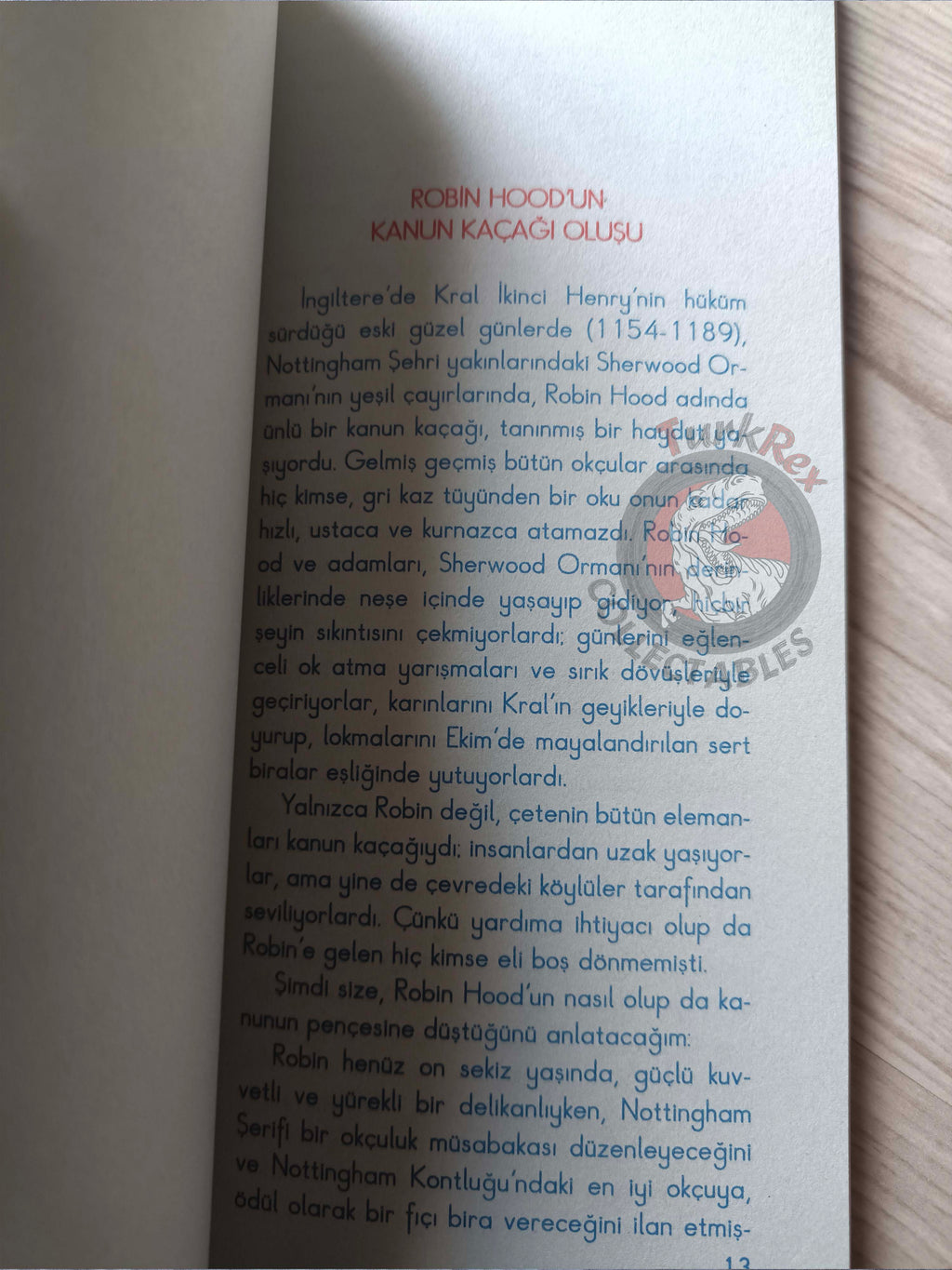 Robin Hood – Howard Pyle 2010 Turkish Book Turkey Illustrated