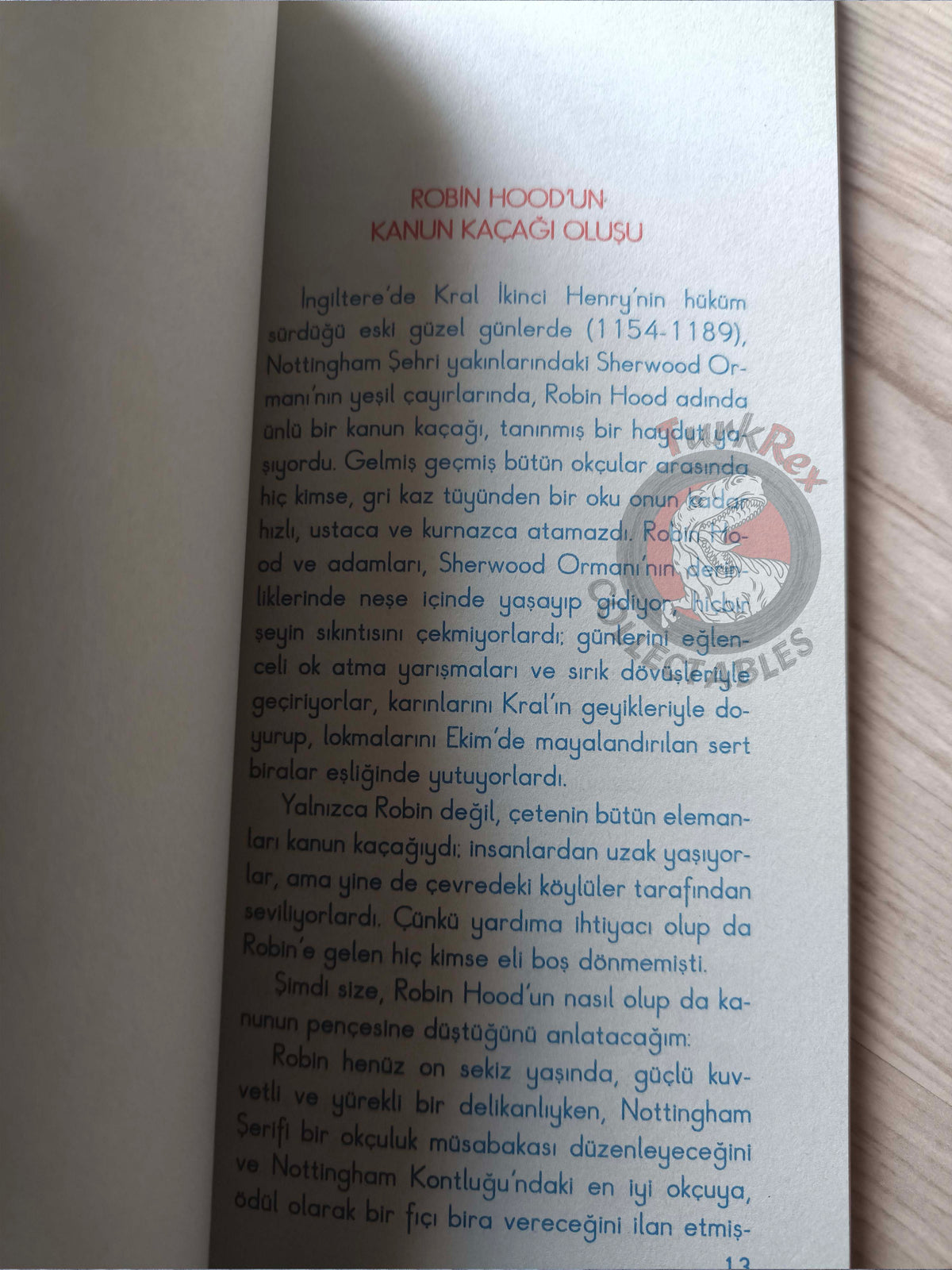 Robin Hood – Howard Pyle 2010 Turkish Book Turkey Illustrated