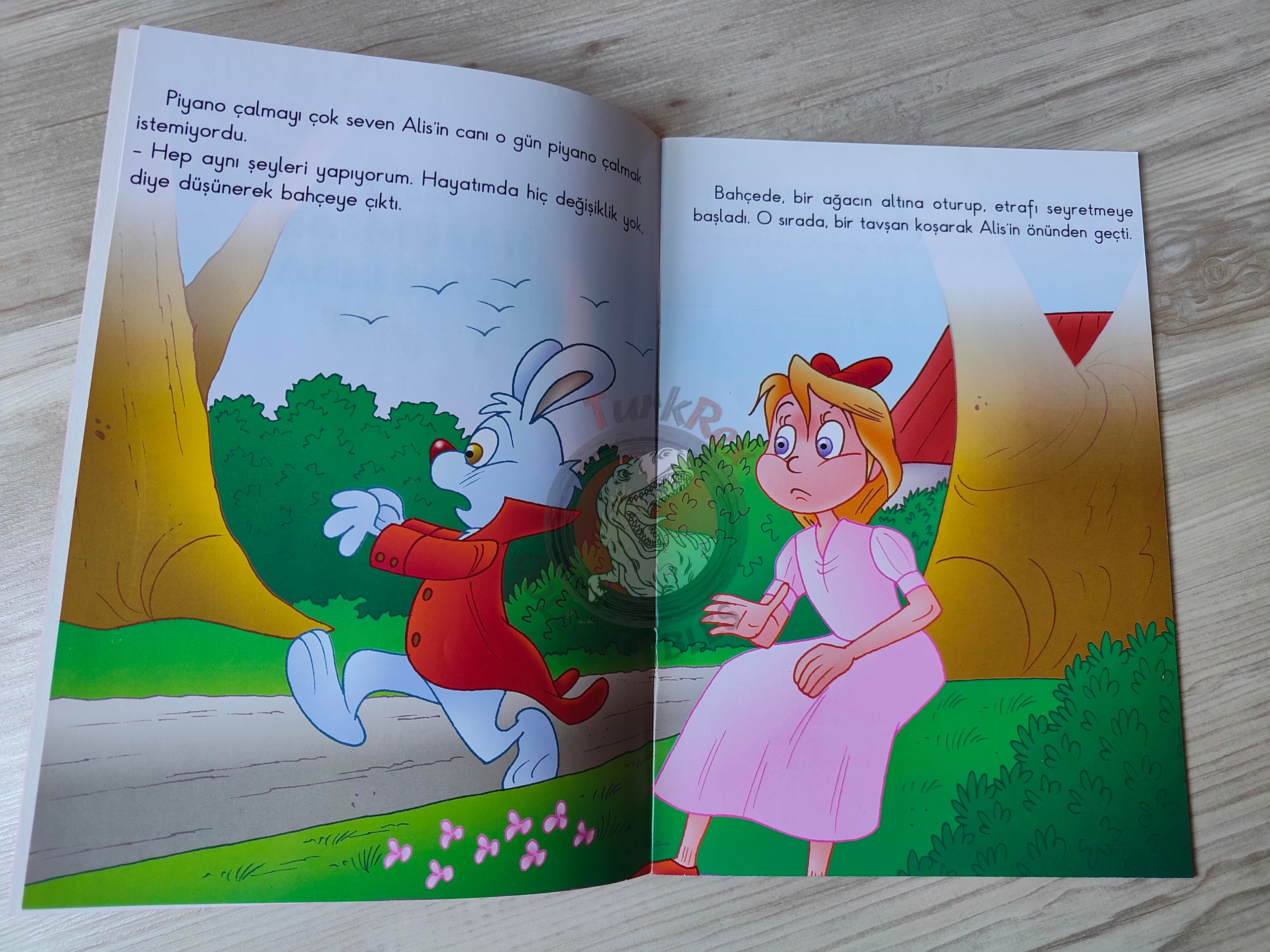 Lewis Carroll – Alice in Wonderland 2011 Turkish Book Turkey Illustrated 2
