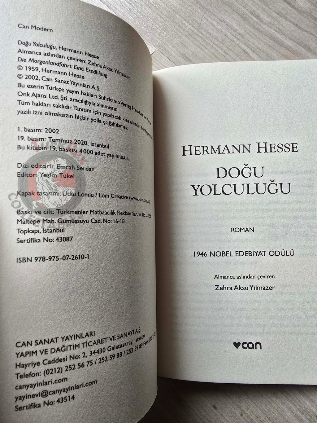 Hermann Hesse – Journey to the East 2020 Turkish Book Turkey