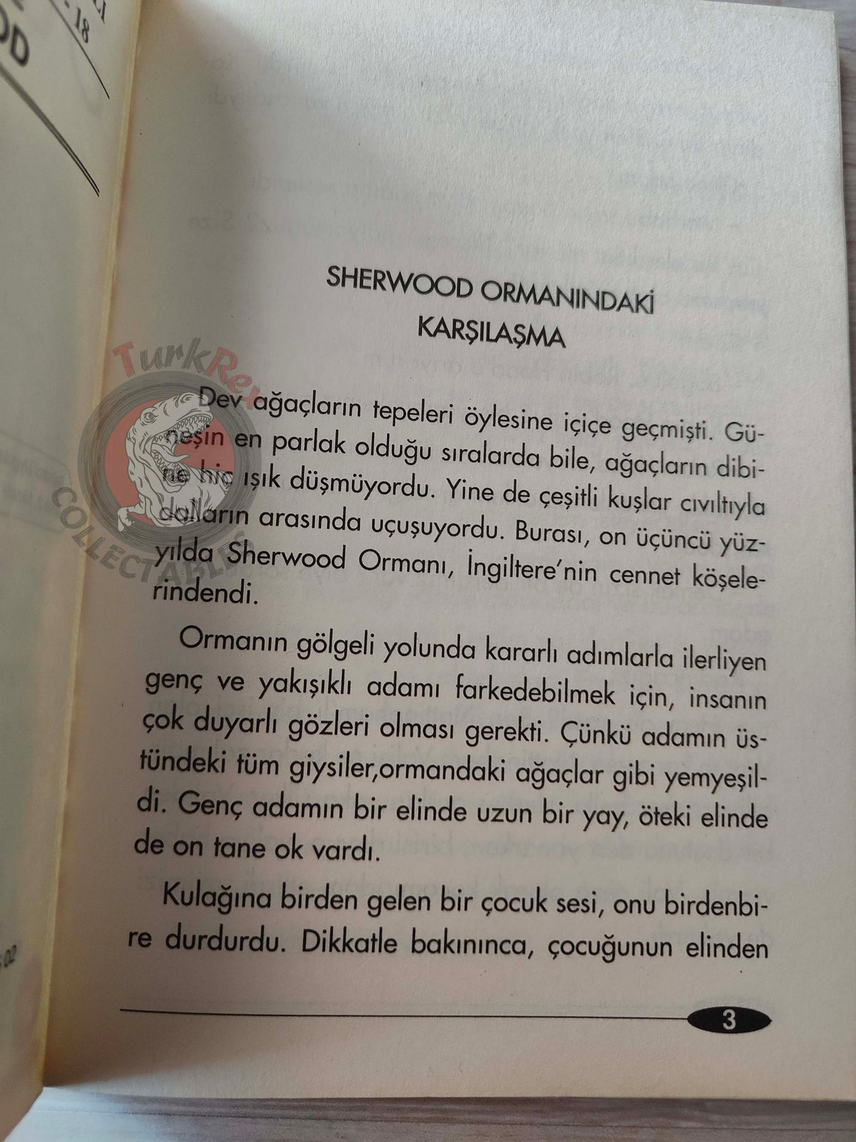Robin Hood – Howard Pyle 2005 Turkish Book Turkey Illustrated