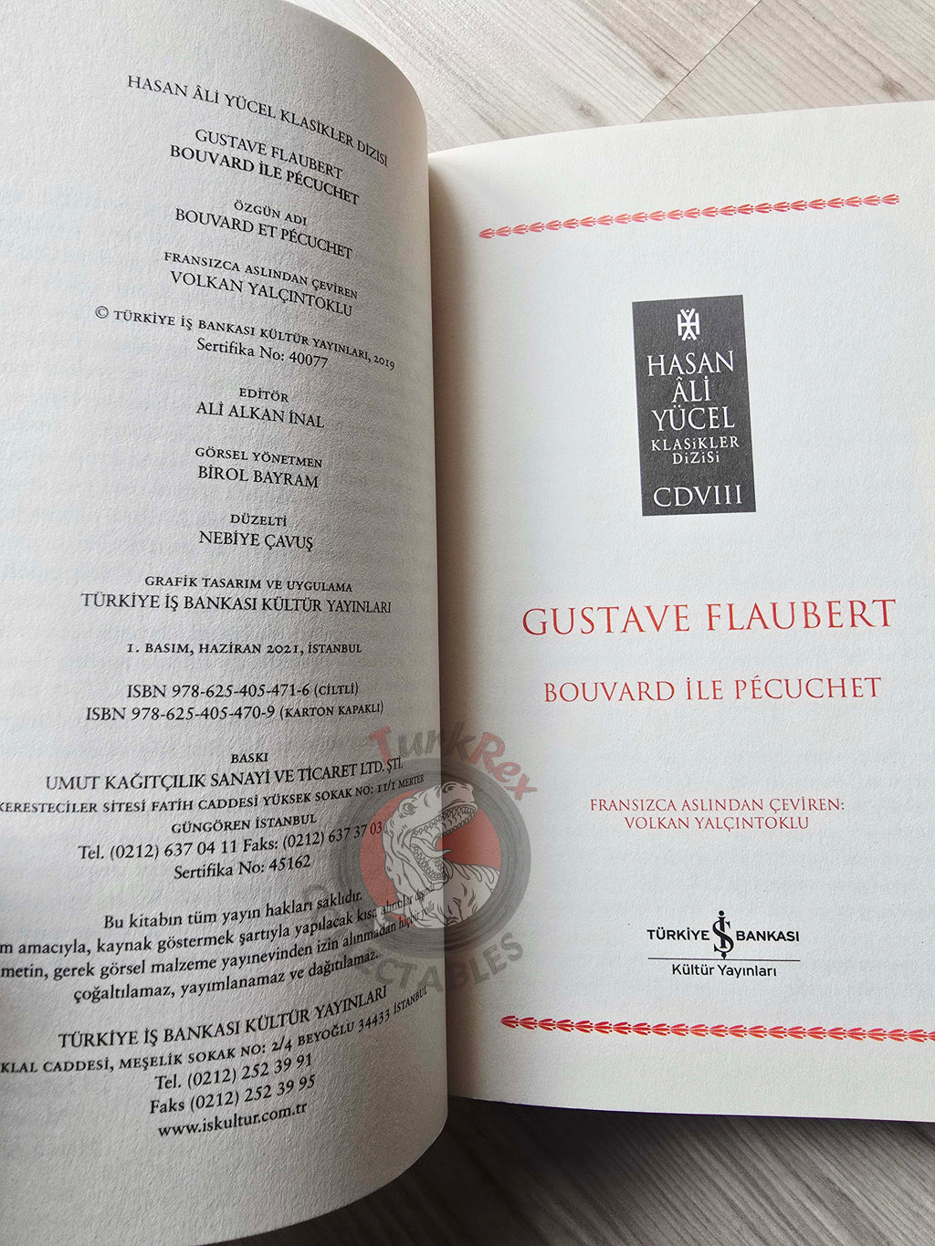 Gustave Flaubert – Bouvard et Pécuchet 2021 Turkish Book Turkey