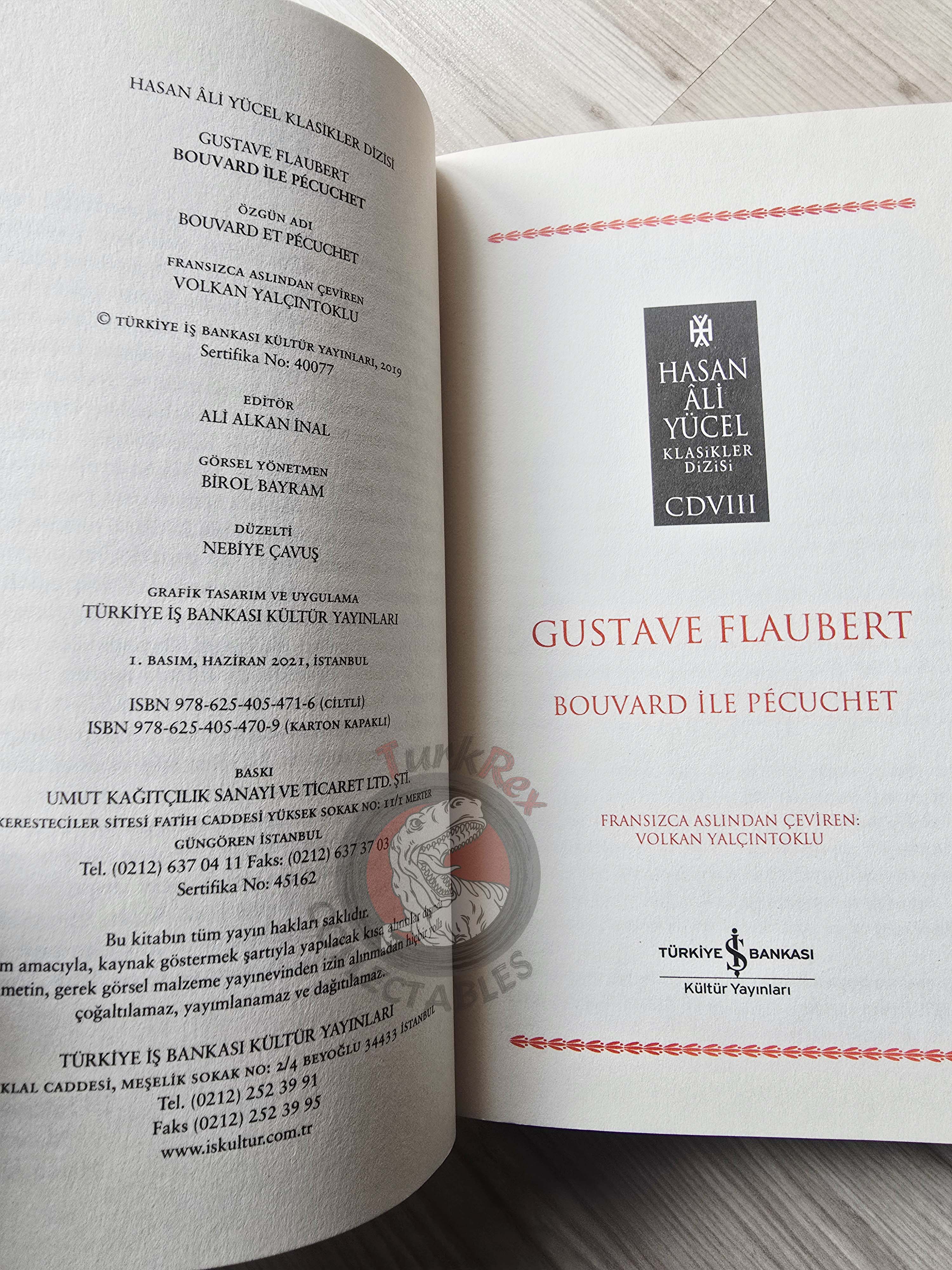 Gustave Flaubert – Bouvard et Pécuchet 2021 Turkish Book Turkey