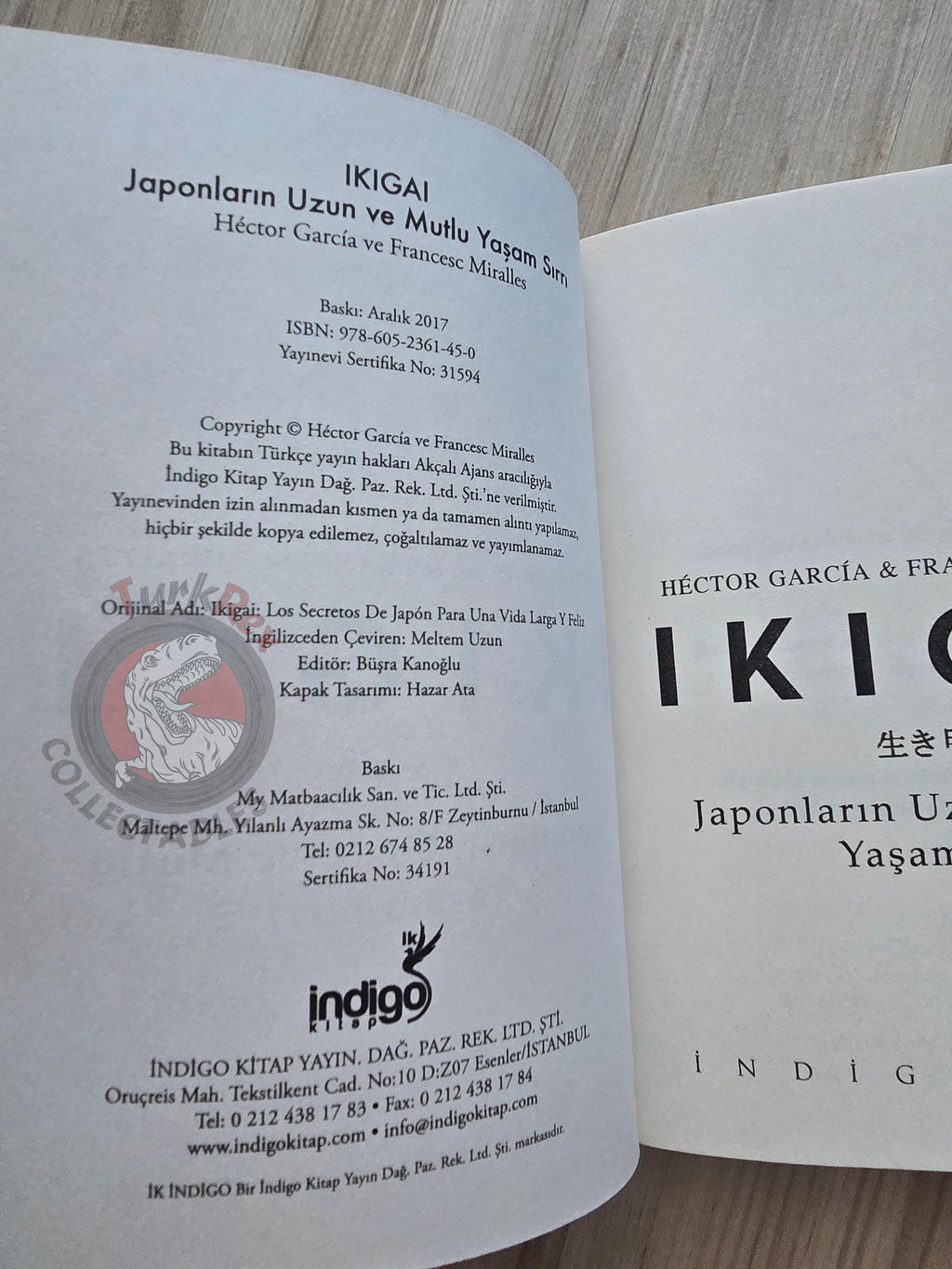 Héctor García & Francesc Miralles – Ikigai: The Japanese Secret 2017 Turkish Book Turkey