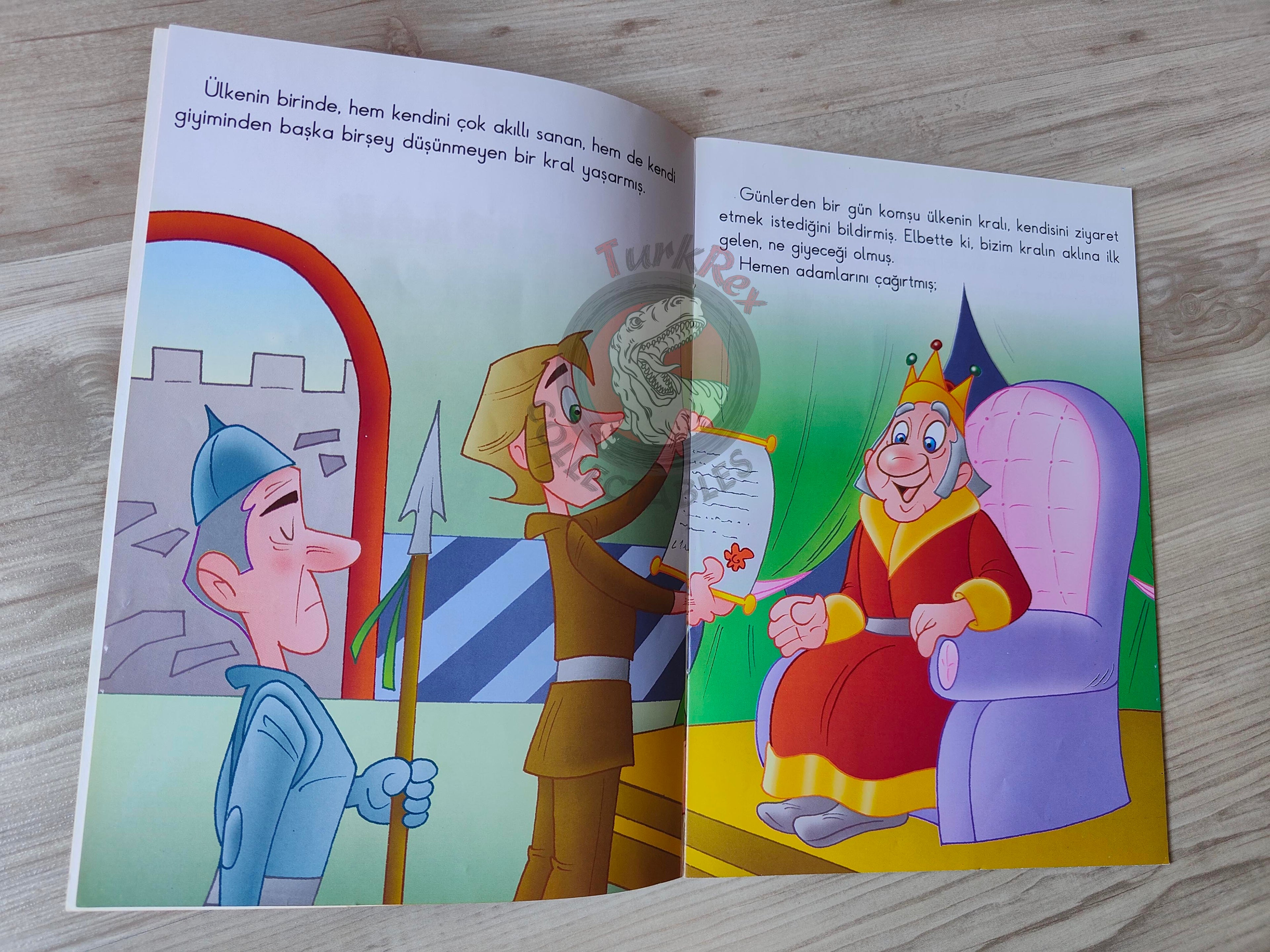 Hans Christian Andersen –  The Emperor's New Clothes 2011 Turkish Book Turkey Illustrated