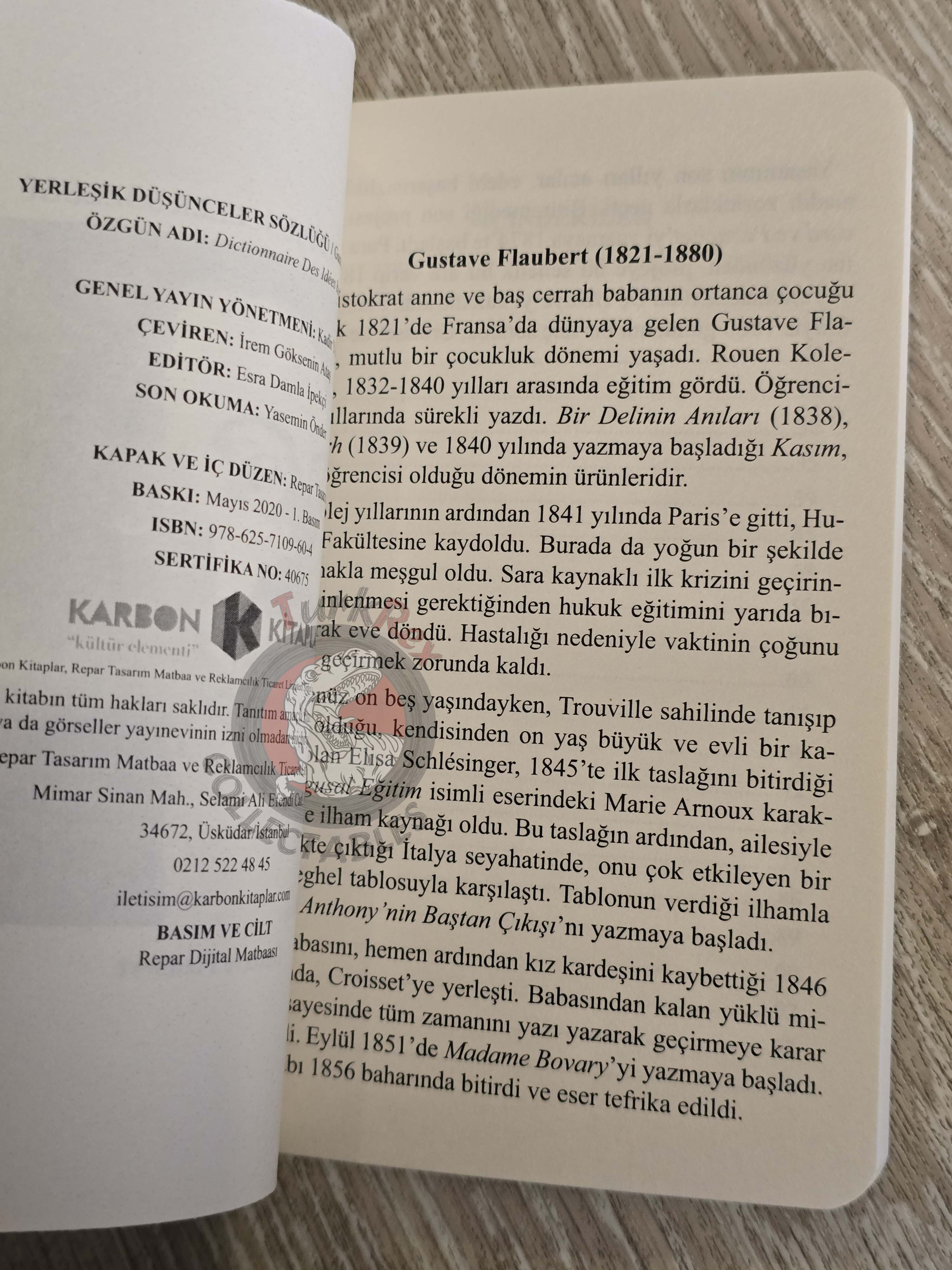 Gustave Flaubert – Dictionary of Received Ideas 2020 Turkish Book Turkey