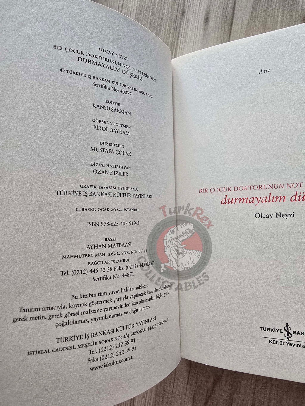 Olcay Neyzi – We Shall Not Stop, Lest We Fall 2022 Turkish Book Turkey Child Health