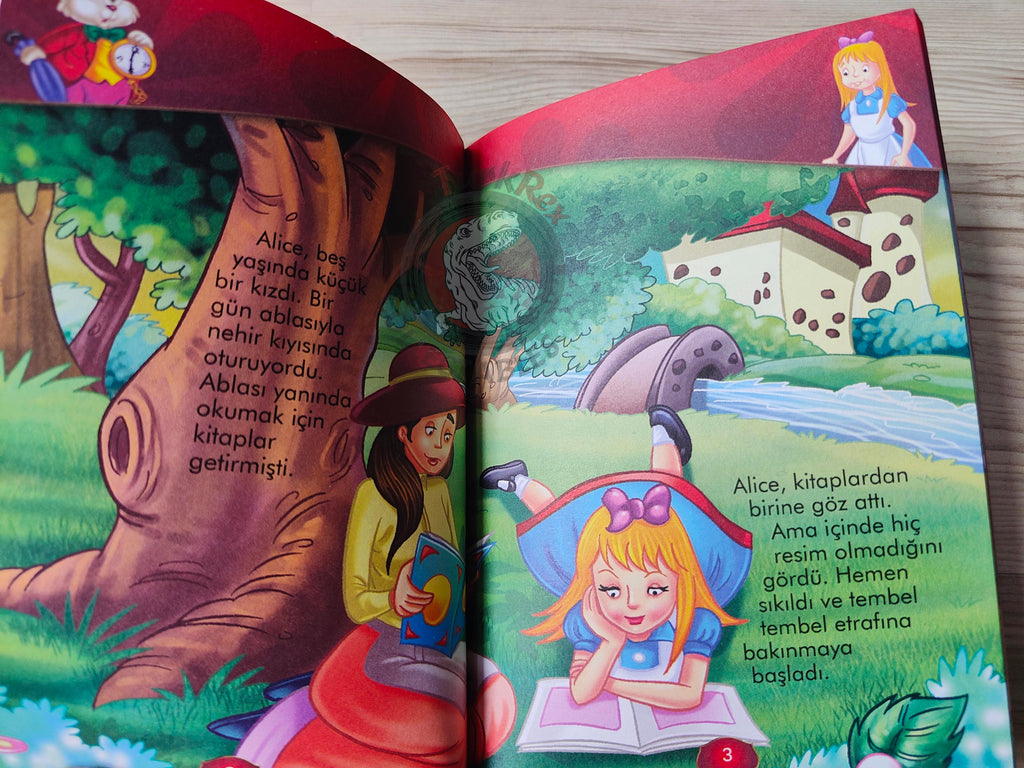 Lewis Carroll – Alice in Wonderland 2012 Turkish Book Turkey Illustrated