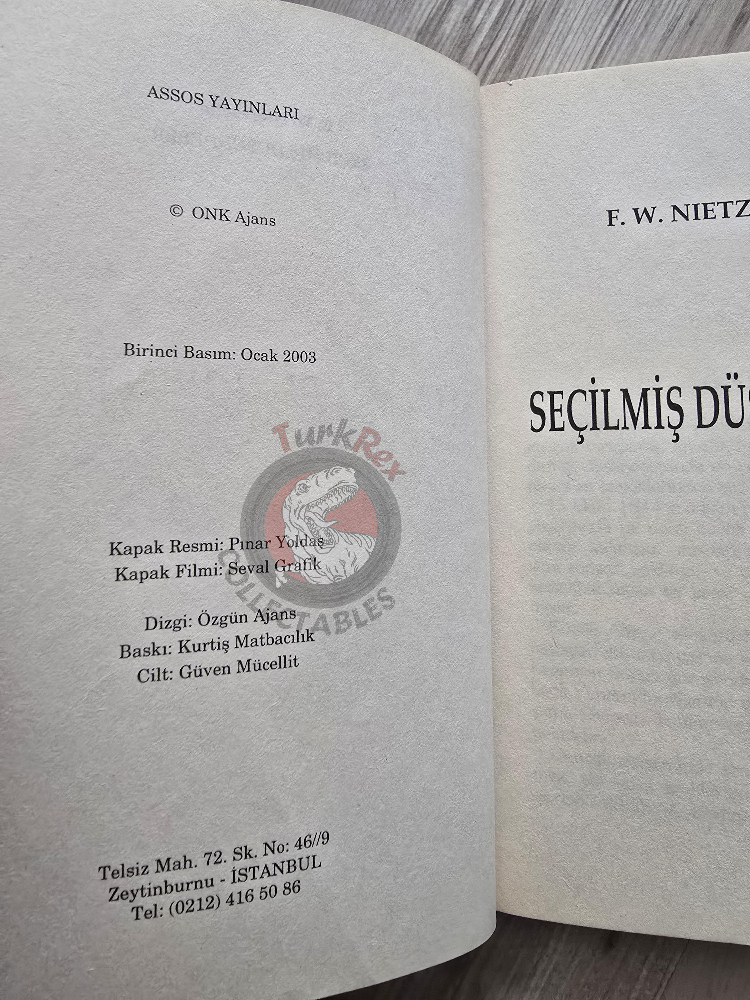 Friedrich Nietzsche – Selected Thoughts 2003 Turkish Book Turkey