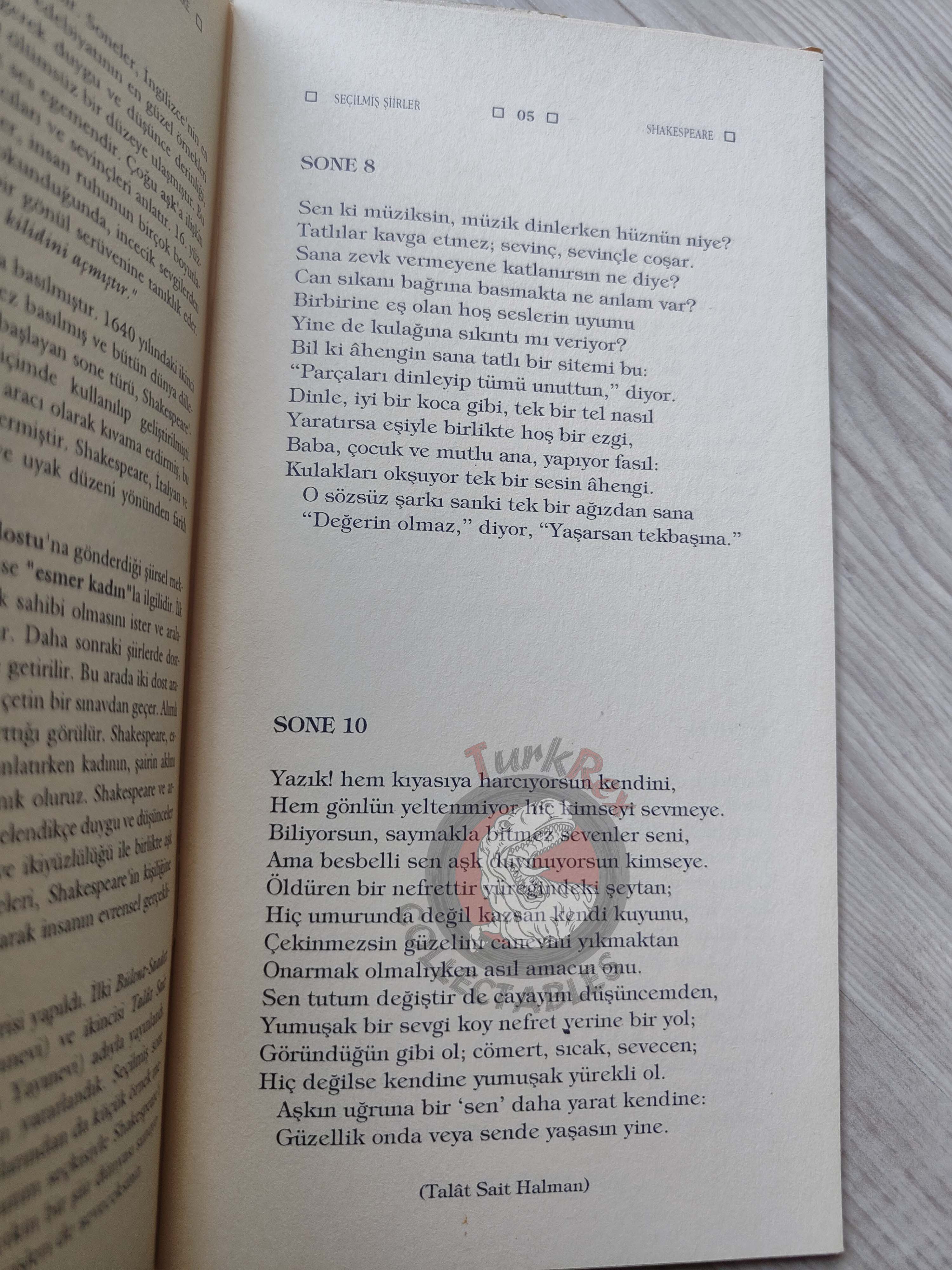 William Shakespeare – Selected Poems 2016 Turkish Book Turkey