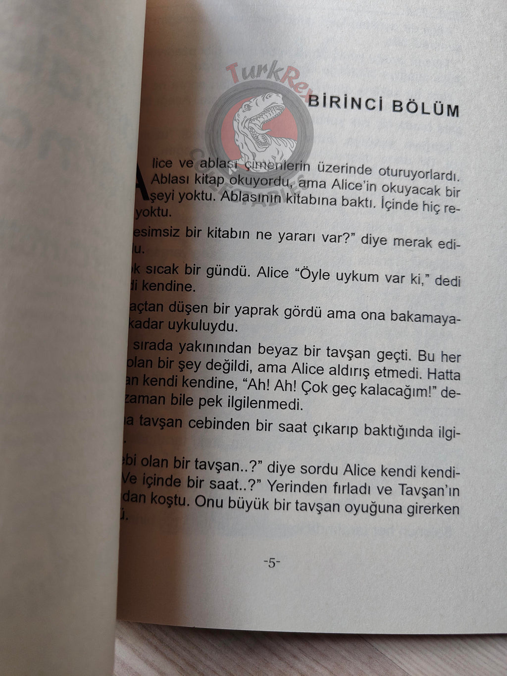 Lewis Carroll – Alice in Wonderland 2011 Turkish Book Turkey Illustrated 3