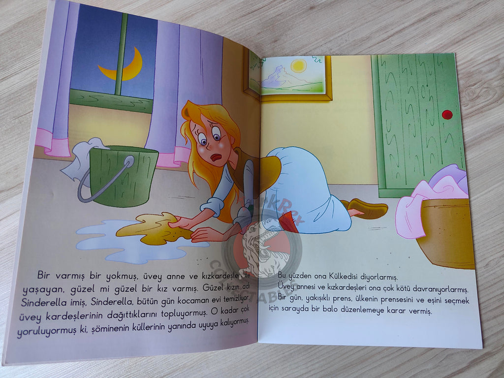 Grimm Brothers – Cinderella 2011 Turkish Book Turkey Illustrated 1