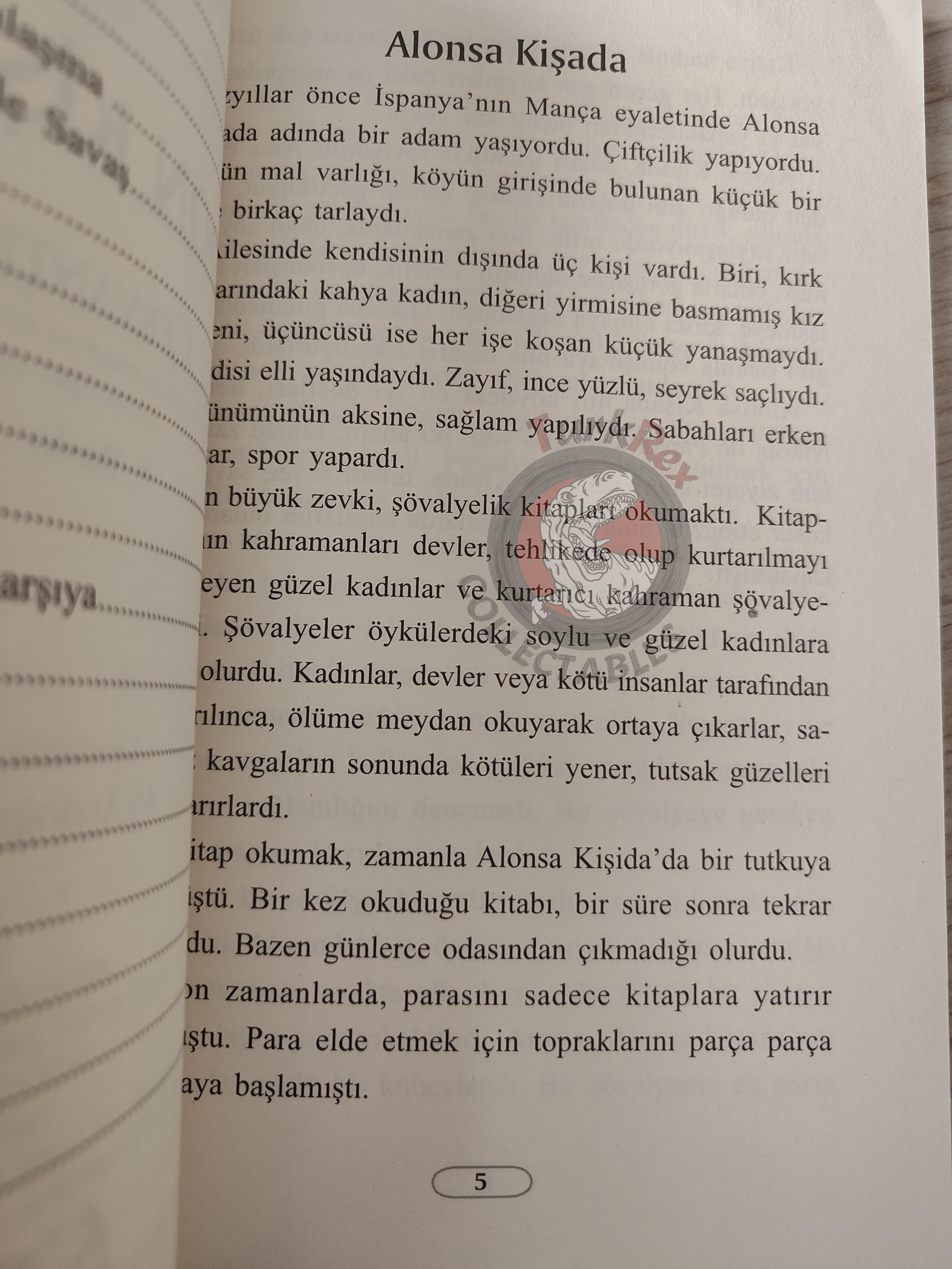 Miguel de Cervantes – Don Quixote 2013 Turkish Book Turkey Illustrated