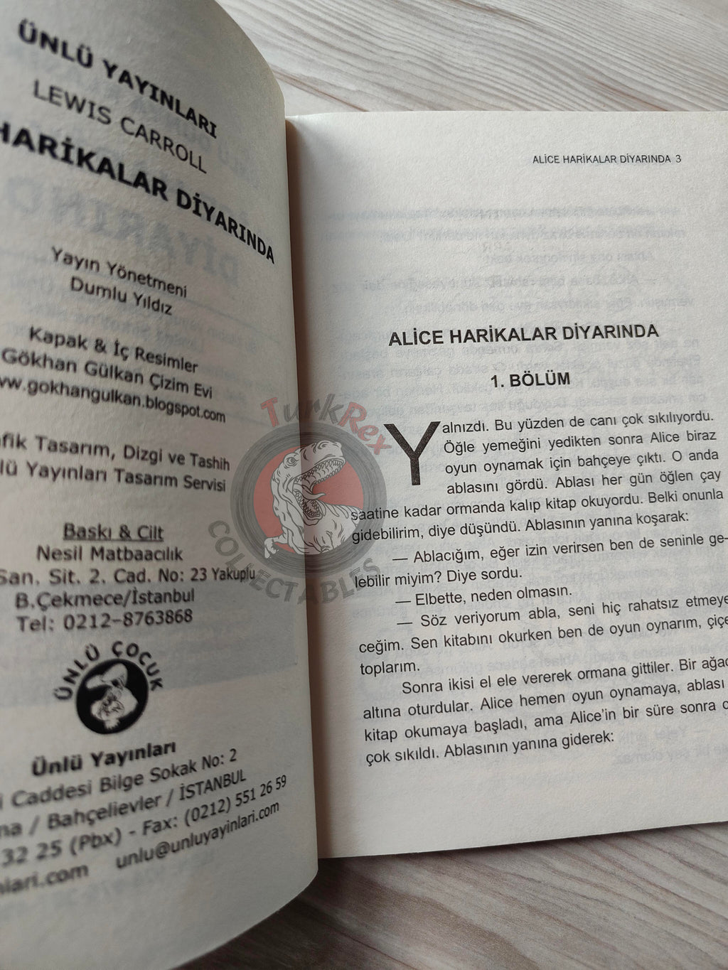 Lewis Carroll – Alice in Wonderland 2000s Turkish Book Turkey Illustrated 2