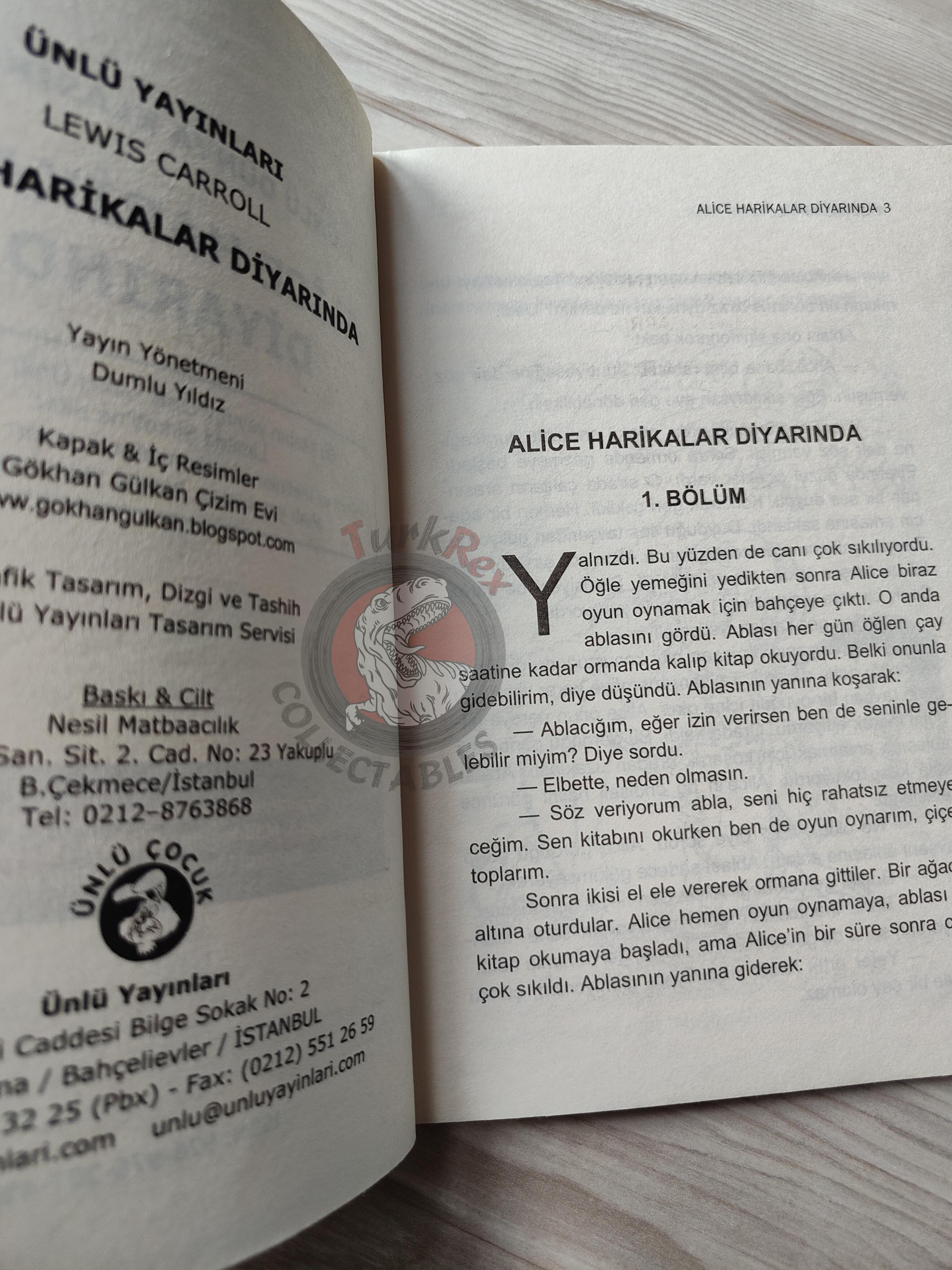 Lewis Carroll – Alice in Wonderland 2000s Turkish Book Turkey Illustrated 2