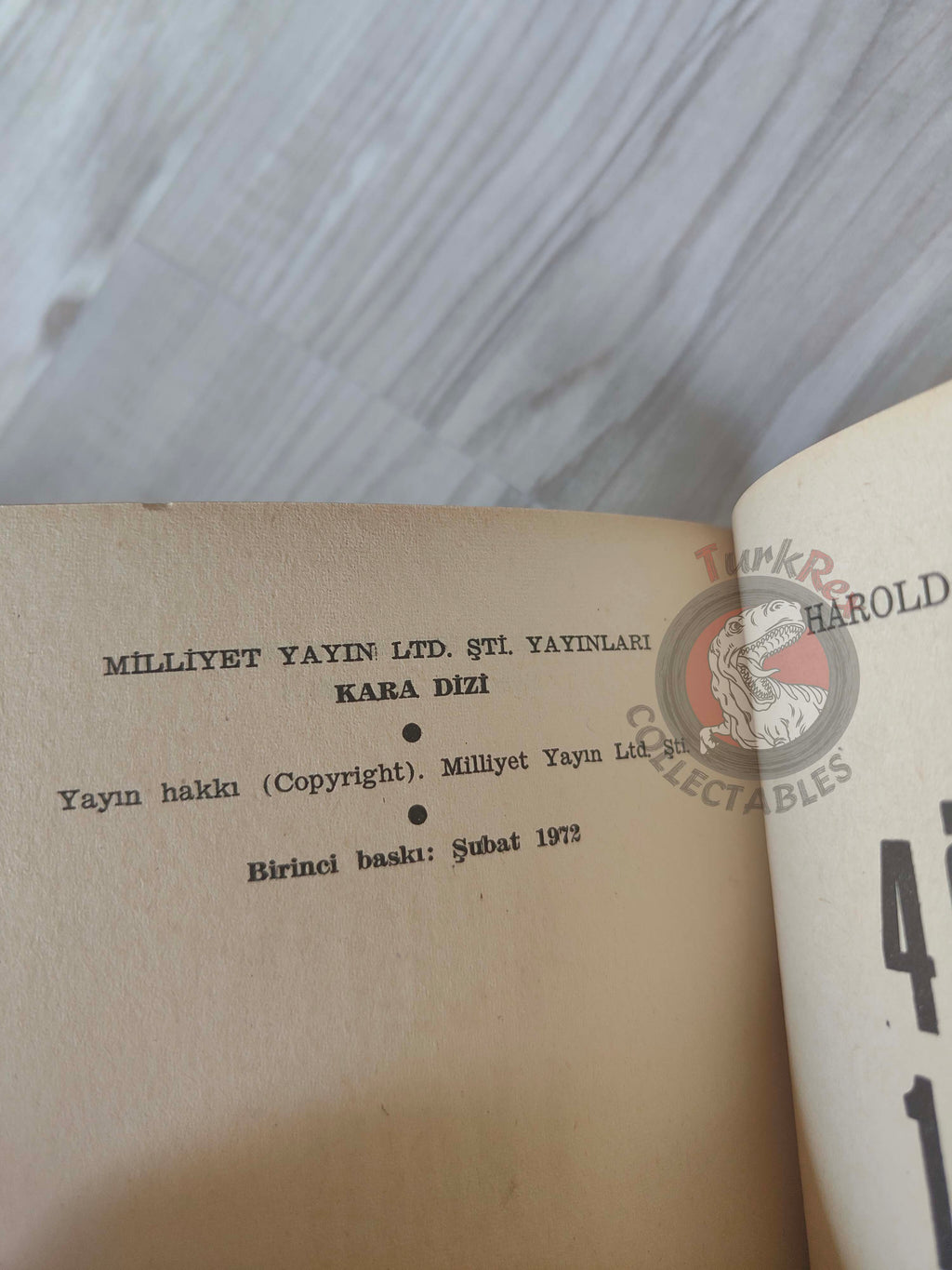 Harold R. Daniels – The Girl in 304 1972 1st Turkish Book Turkey