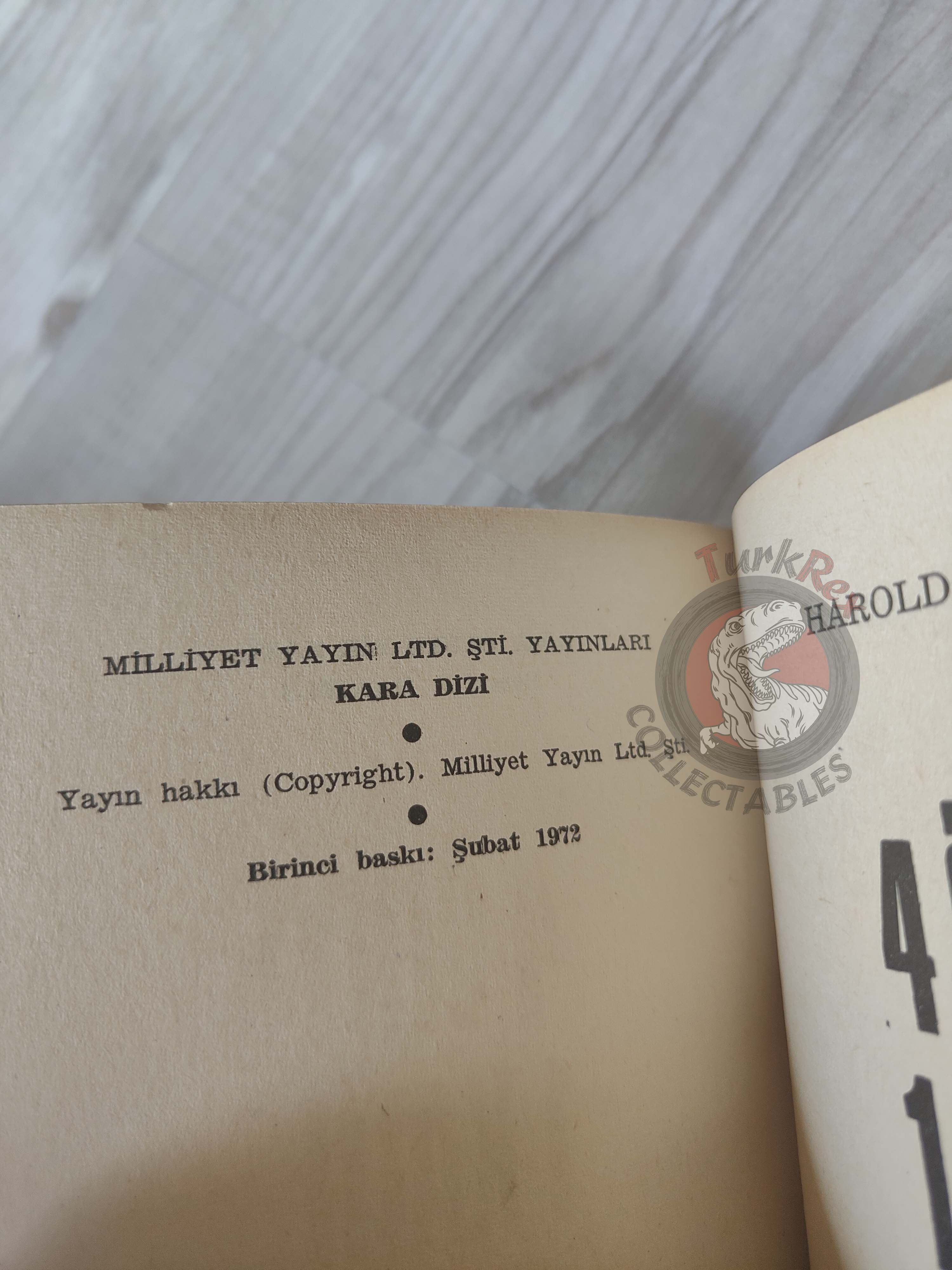 Harold R. Daniels – The Girl in 304 1972 1st Turkish Book Turkey
