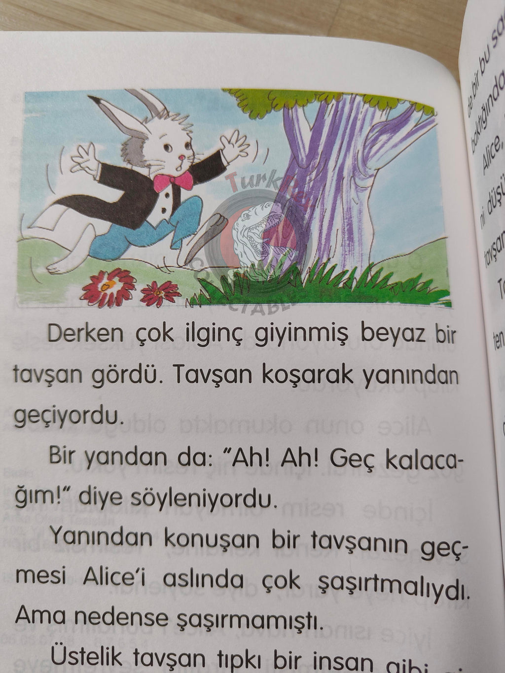 Lewis Carroll – Alice in Wonderland 2001 Turkish Book Turkey Illustrated