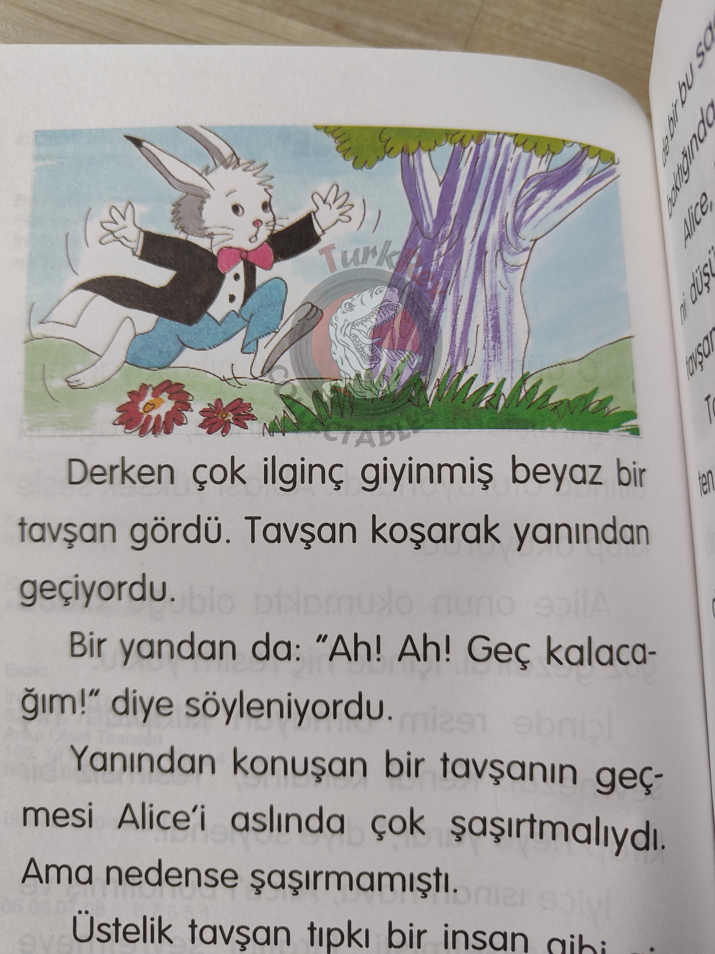 Lewis Carroll – Alice in Wonderland 2001 Turkish Book Turkey Illustrated